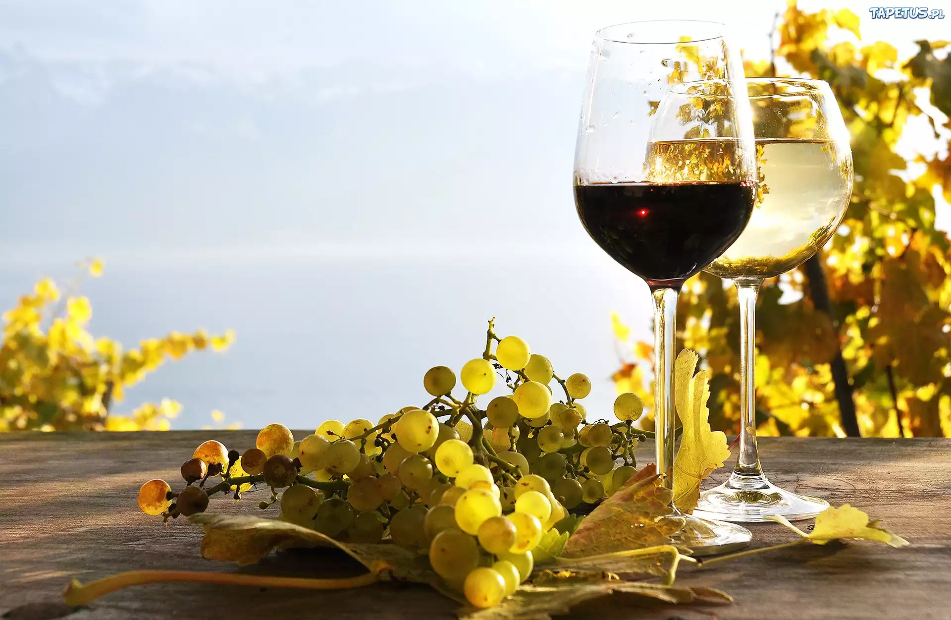 Winogrona, Kieliszki, Wino