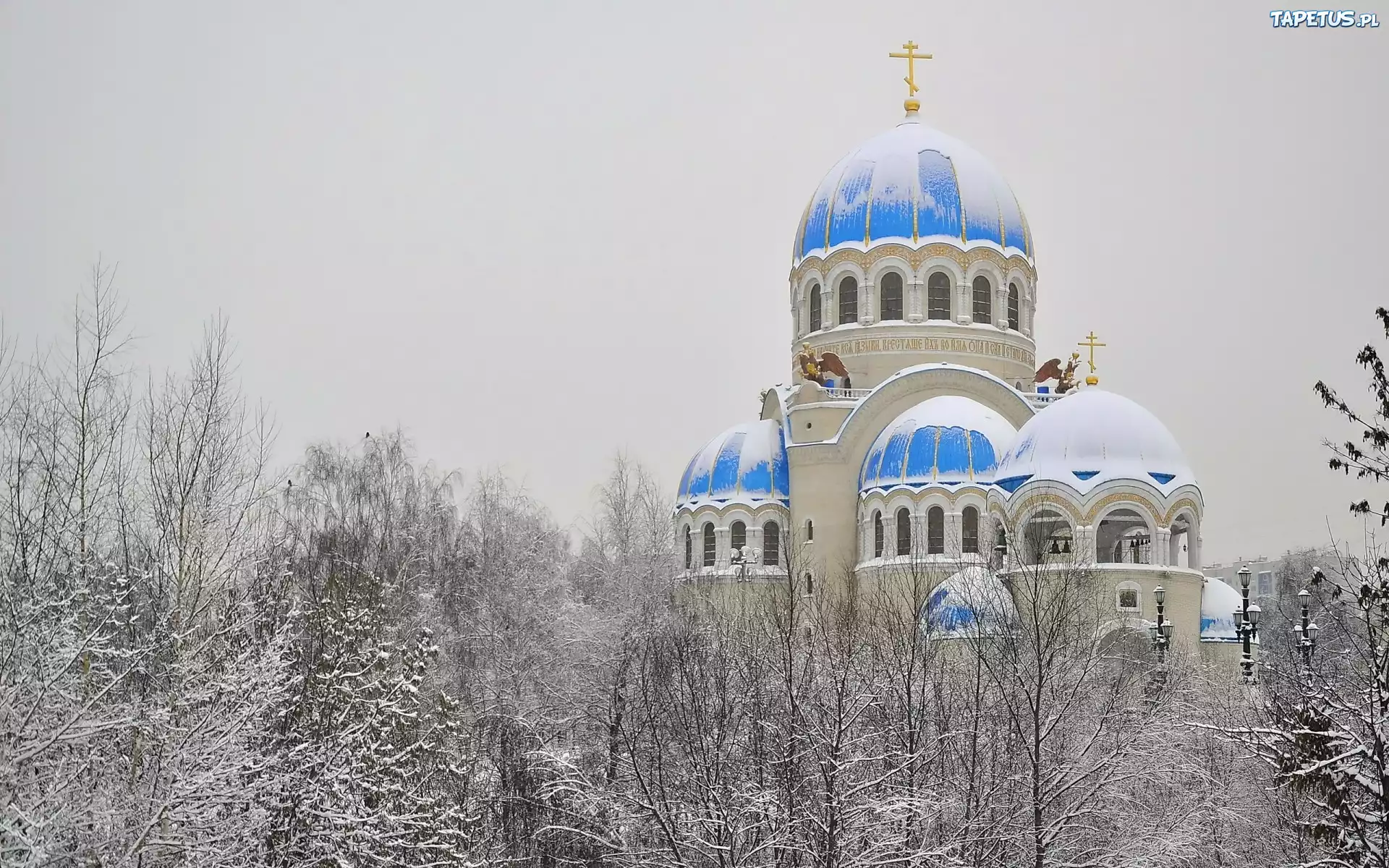 Cerkiew, Kopuły, Zima, Śnieg, Drzewa