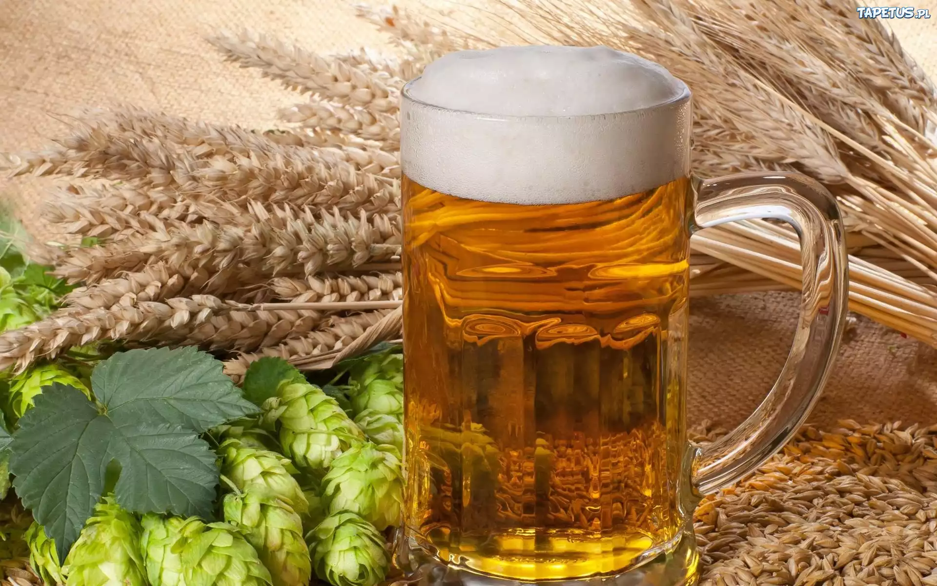 Kufel, Piwo, Zboże