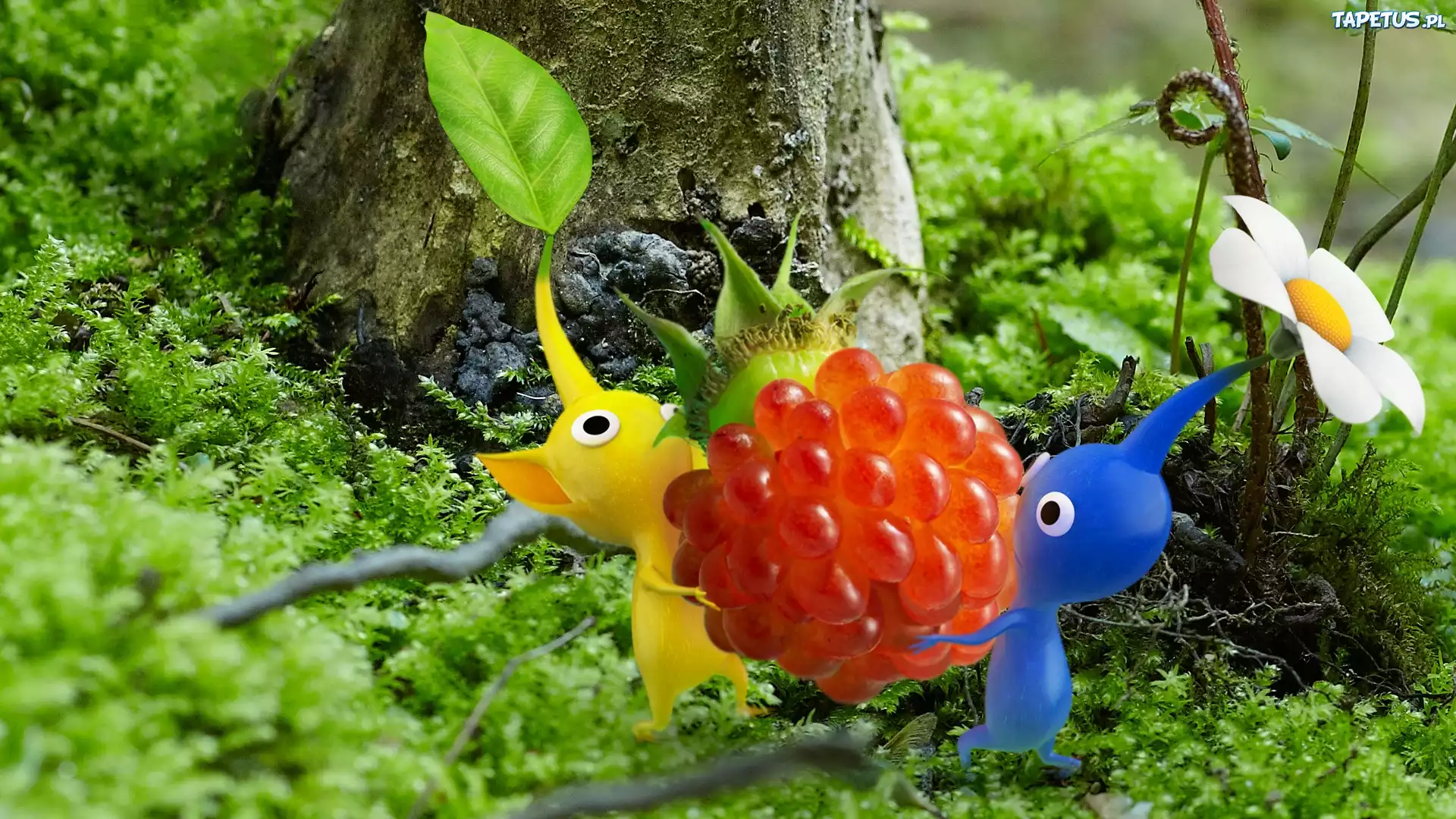 Malina, Las, Kwiatek, Listek, Pikmin