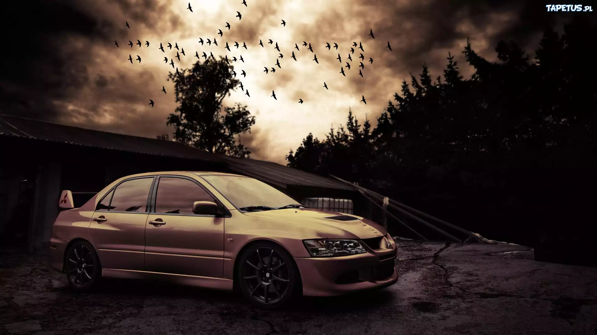 Mitsubishi, Lancer, Evo VIII