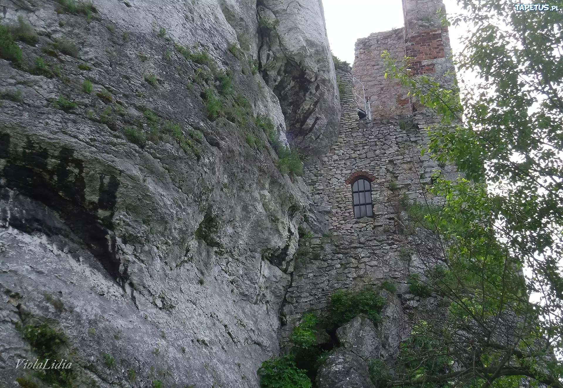 Ogrodzieniec, Zamek, Ruiny
