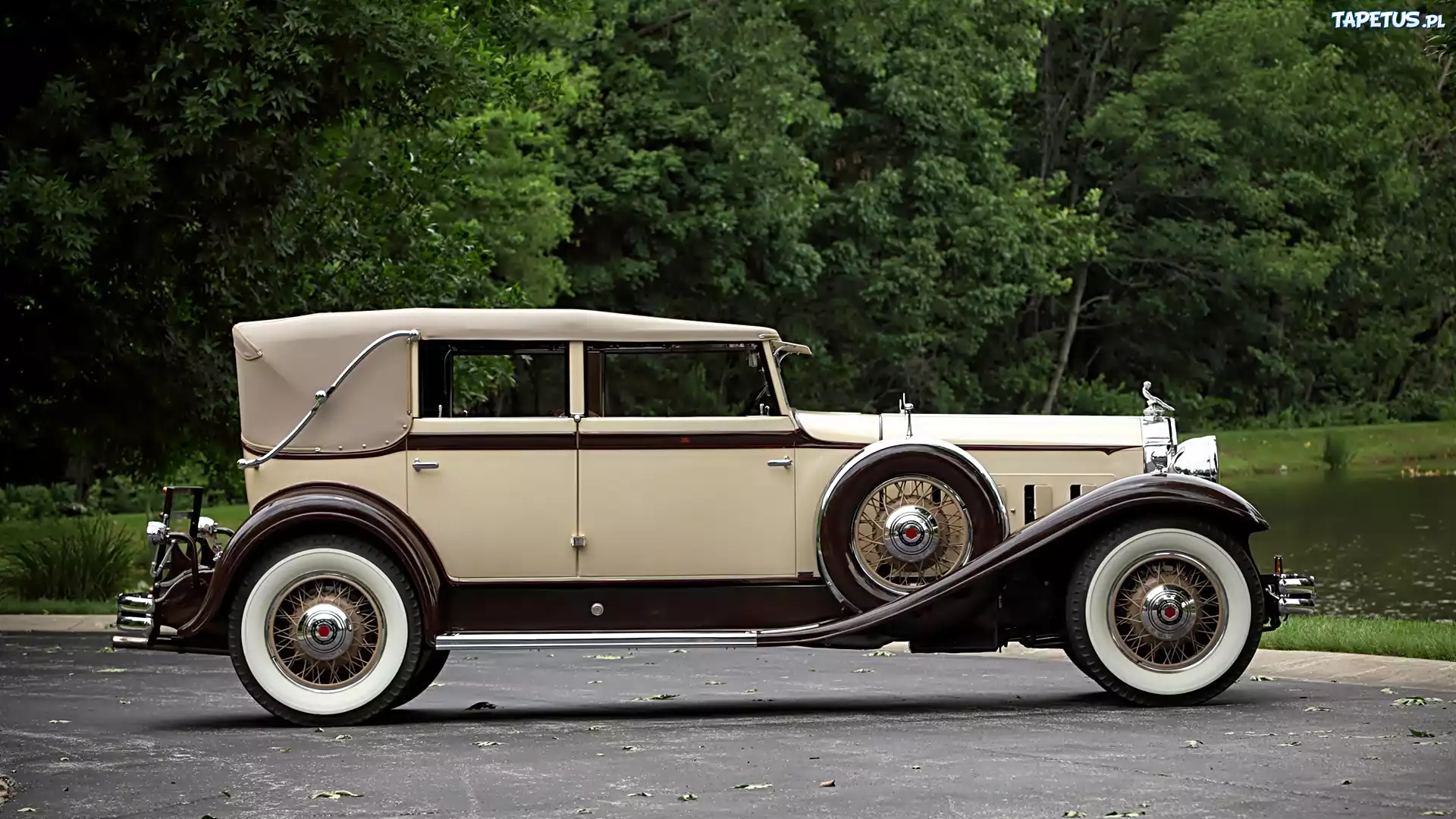Samochód, Zabytkowy, Packard, 1931