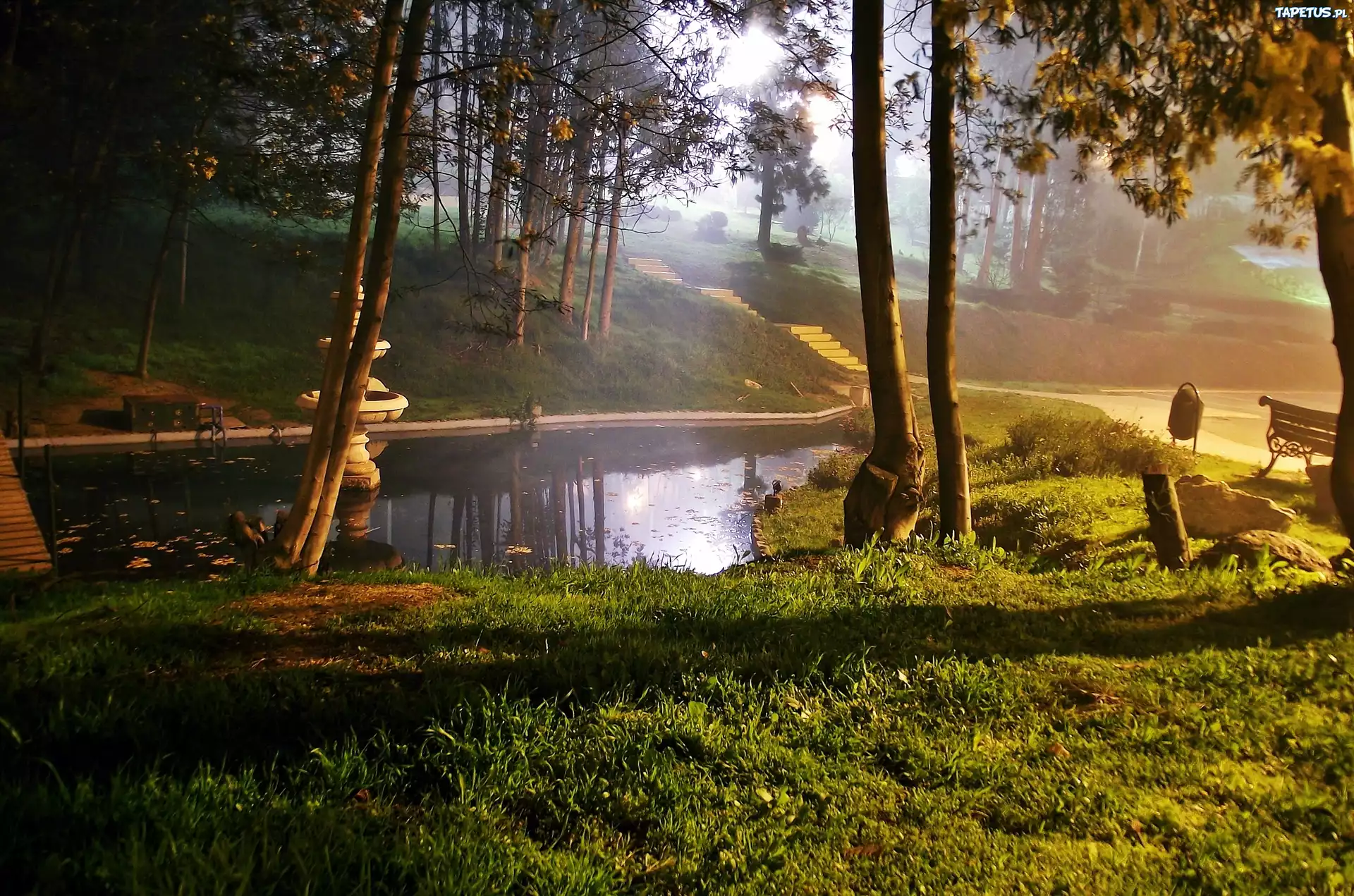 Park, Staw, Fontanna, Przebijające, Światło