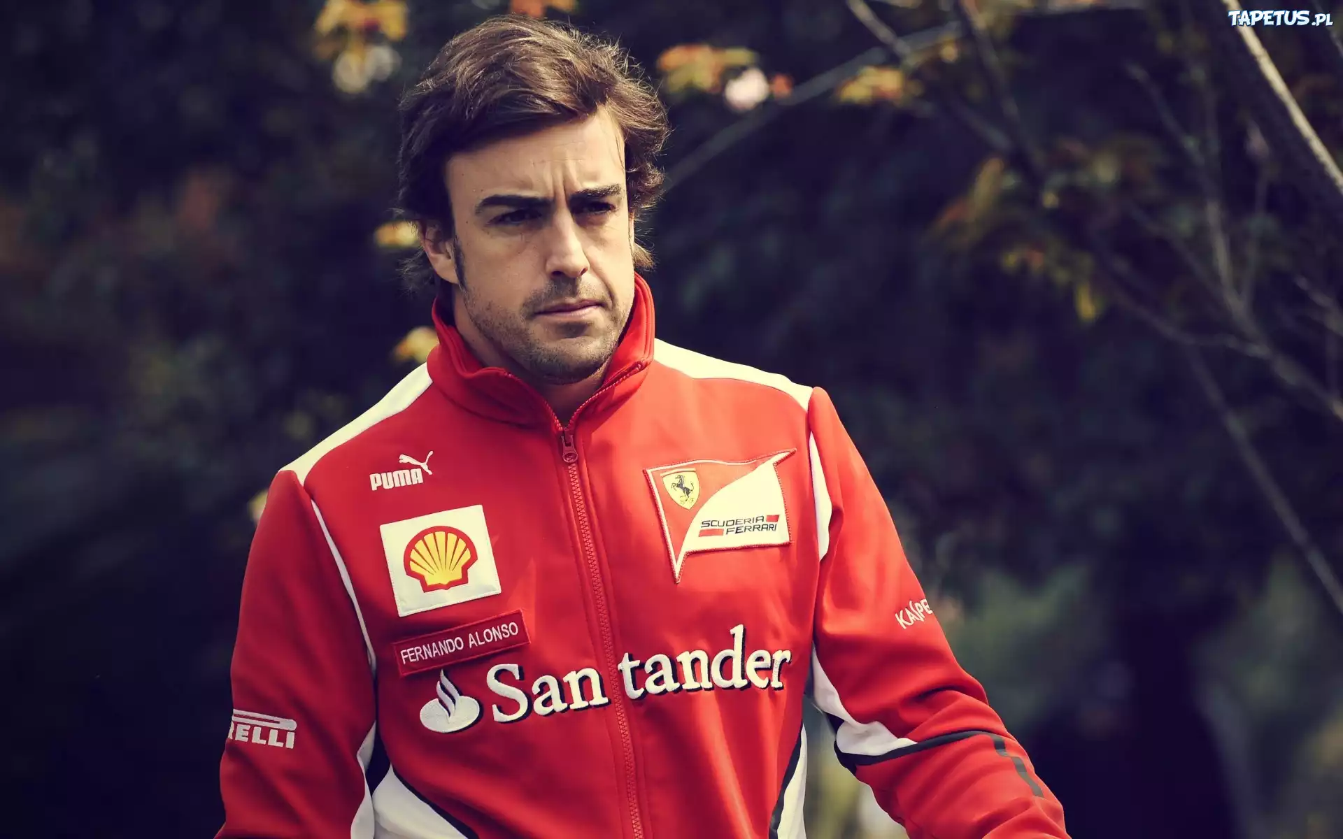 Fernando Alonso, Sportowa, Bluza