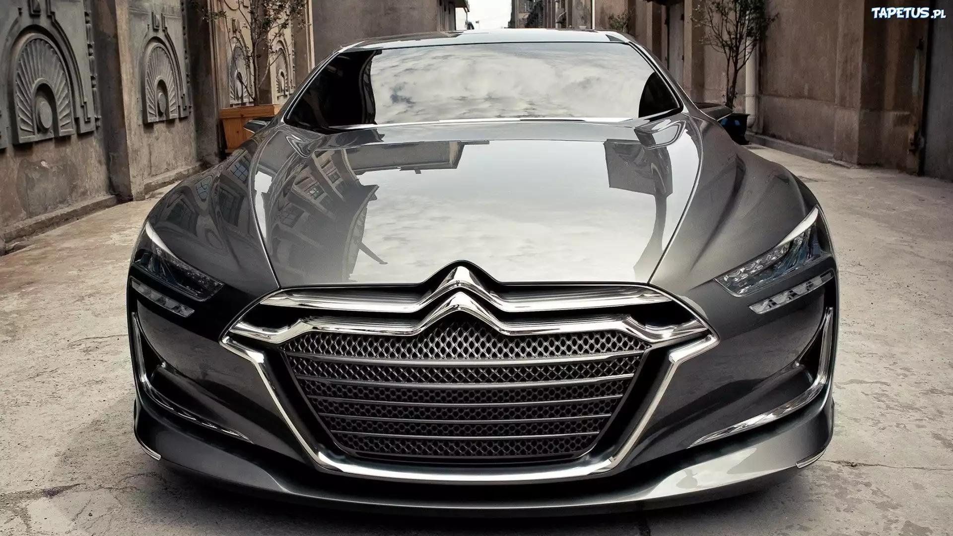 Srebrny, Citroen, Metropolis