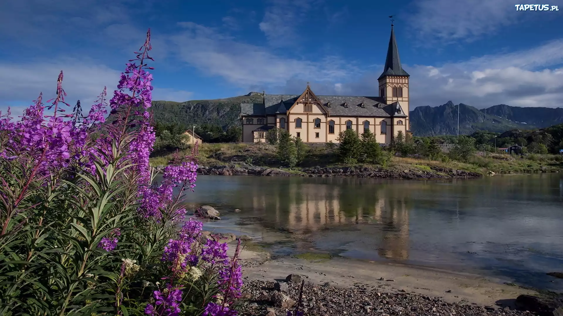 Norwegia, Rzeka, Budynek, Purpurowe, Kwiaty, Góry