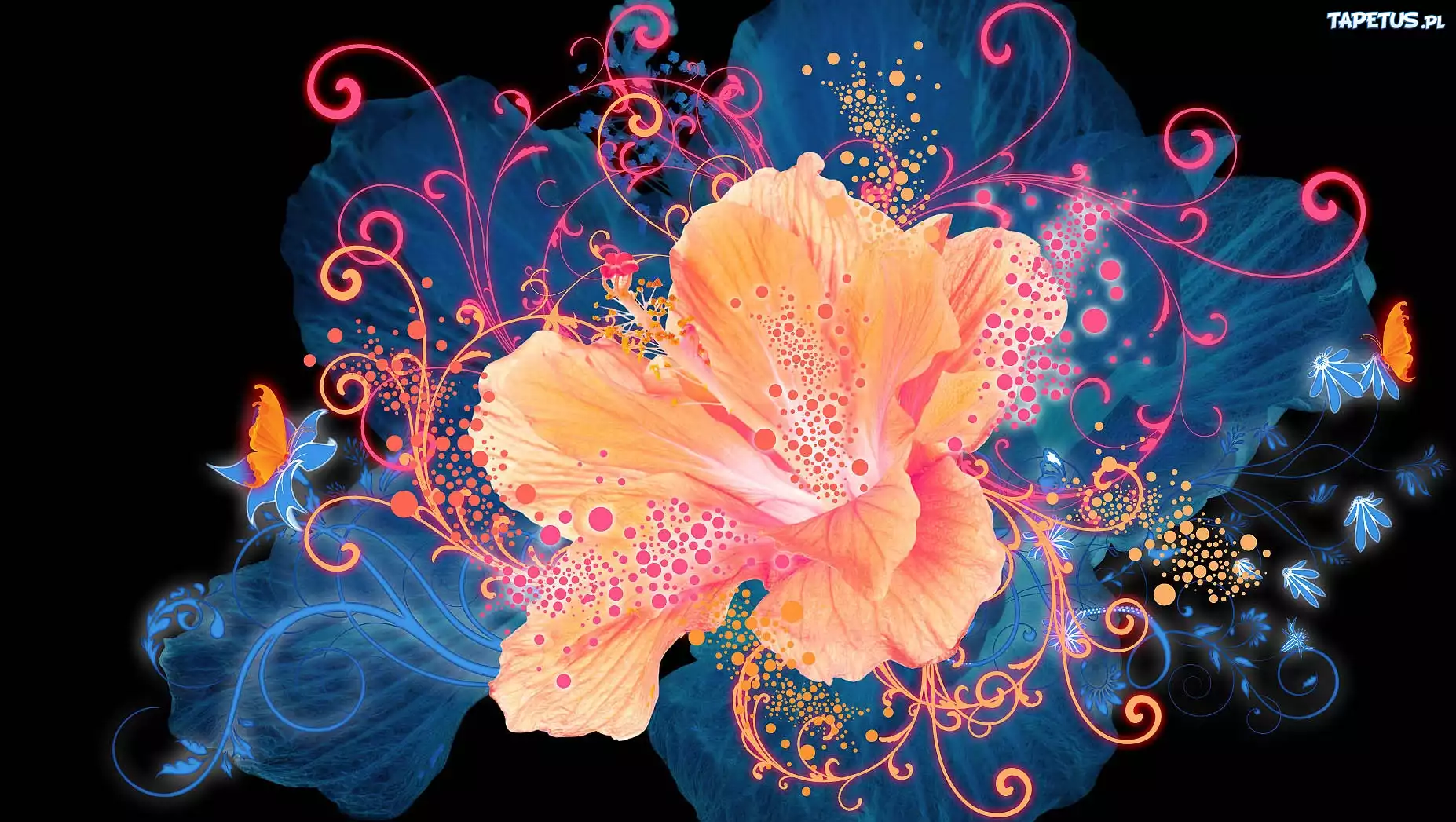 Grafika, Lilia
