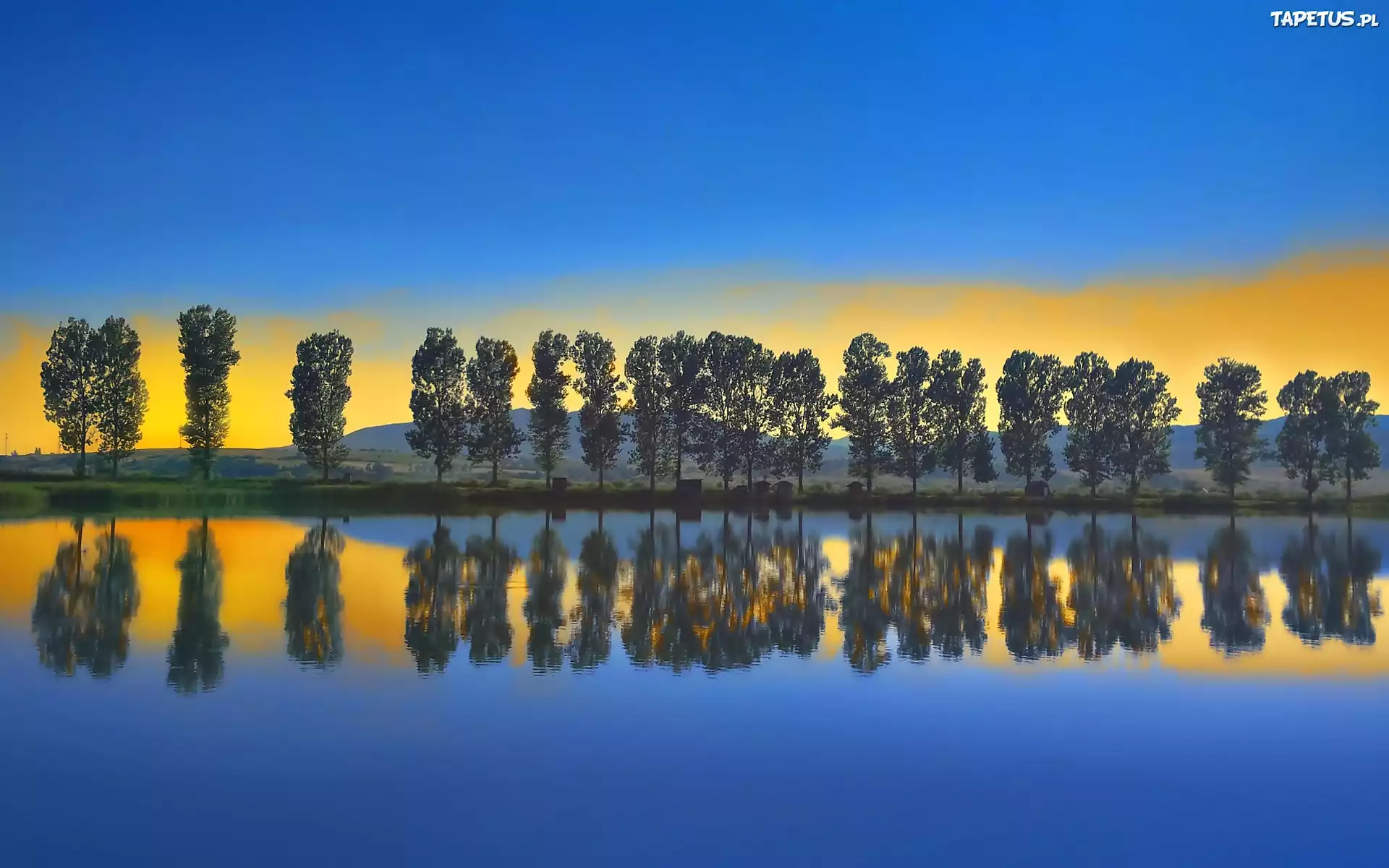 Jezioro, Niebo, Drzewa