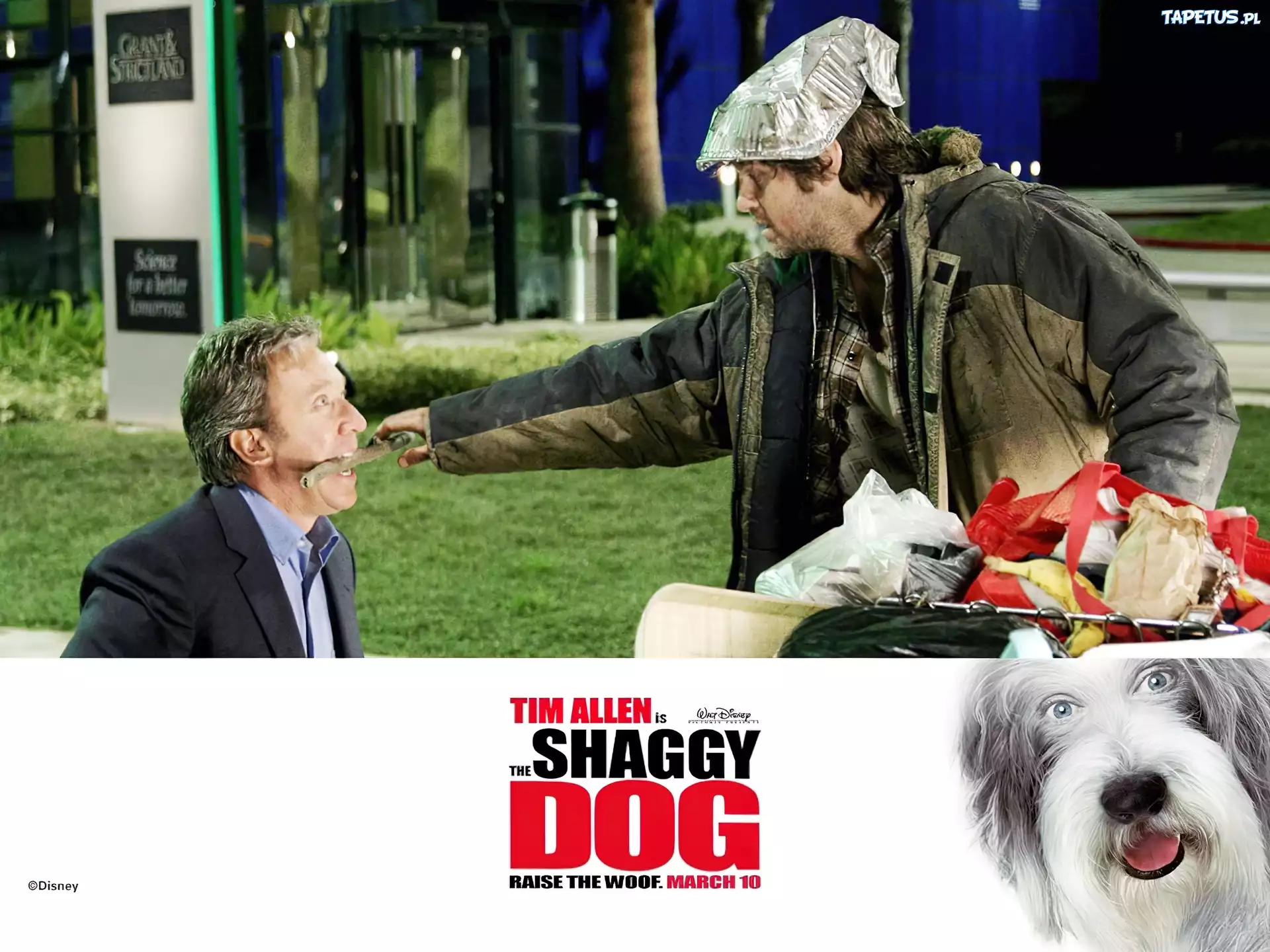 The Shaggy Dog, Tim Allen, bezdomny,kij, pies