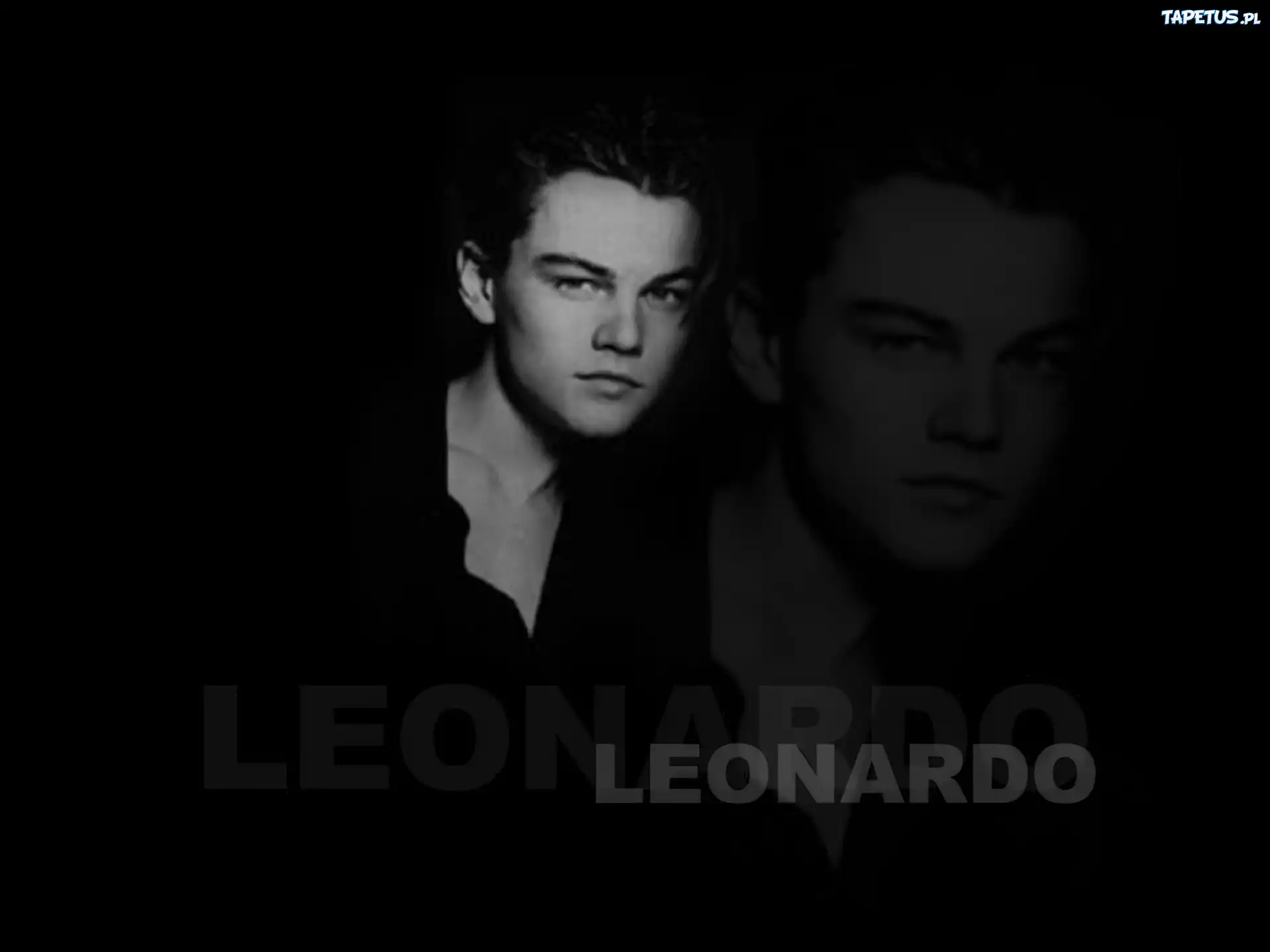 Leonardo DiCaprio,odbicie