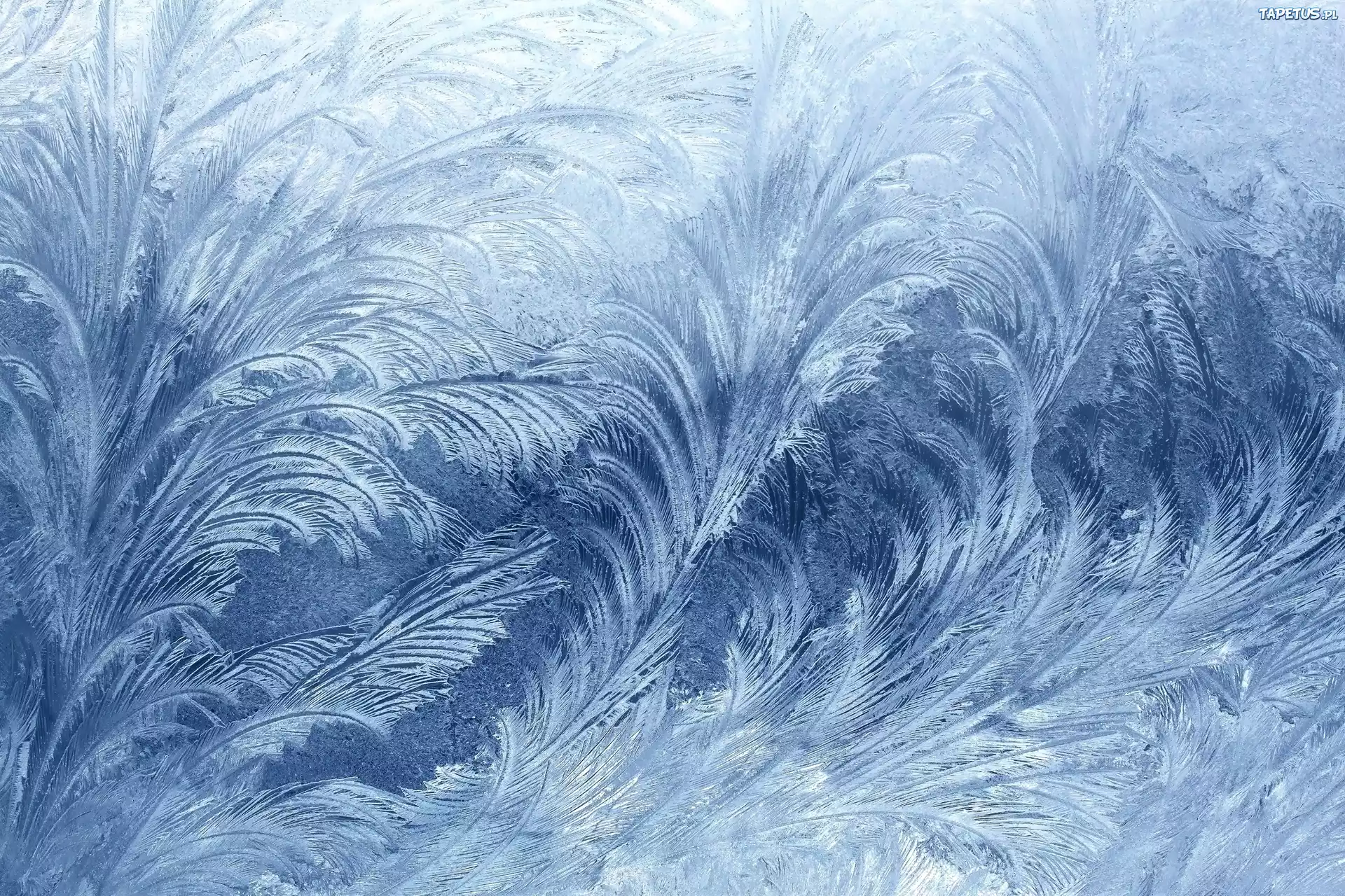 Zima, Szron, Szyba