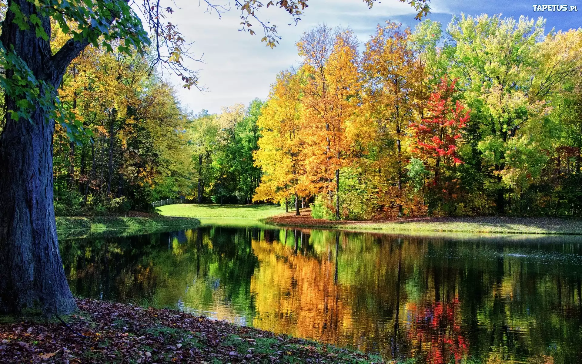 Park, Rzeka, Kolorowe, Drzewa, Jesień