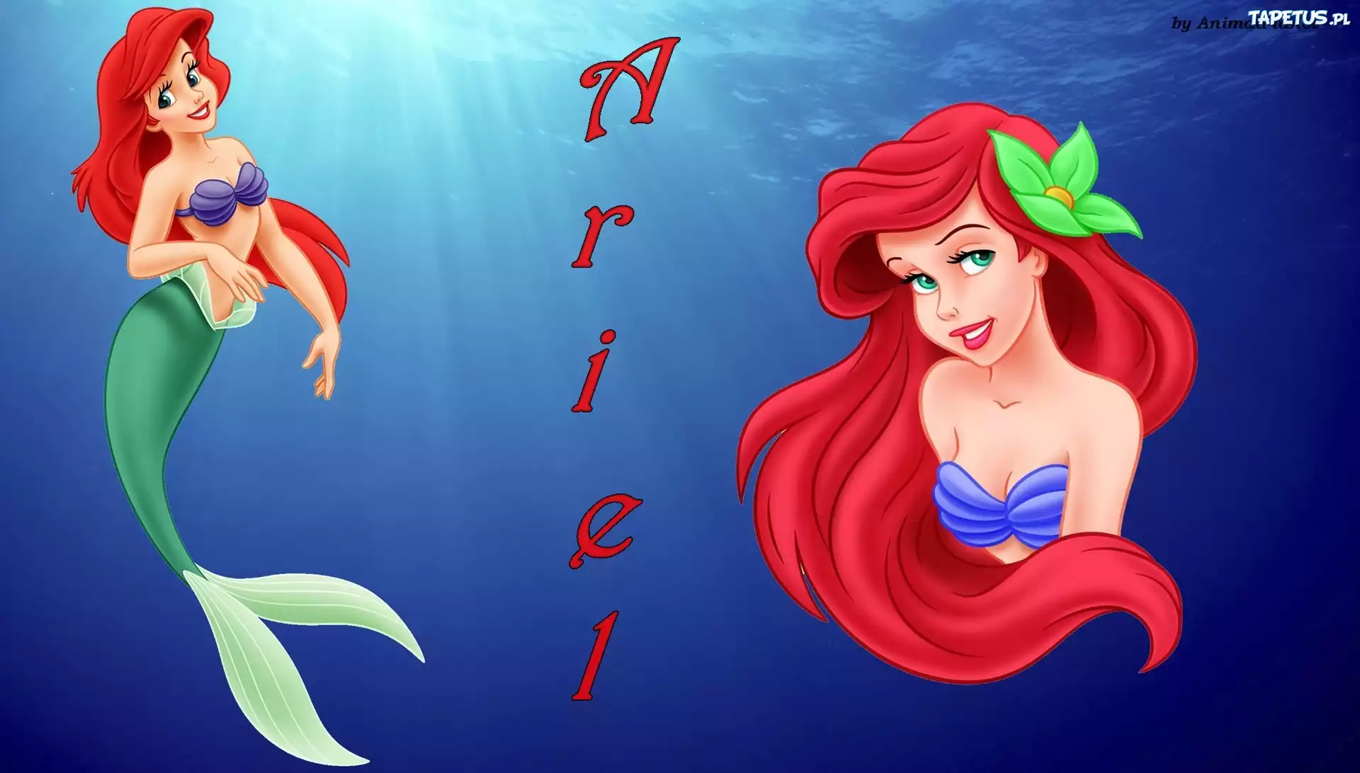 Bajka, Syrenka, Ariel