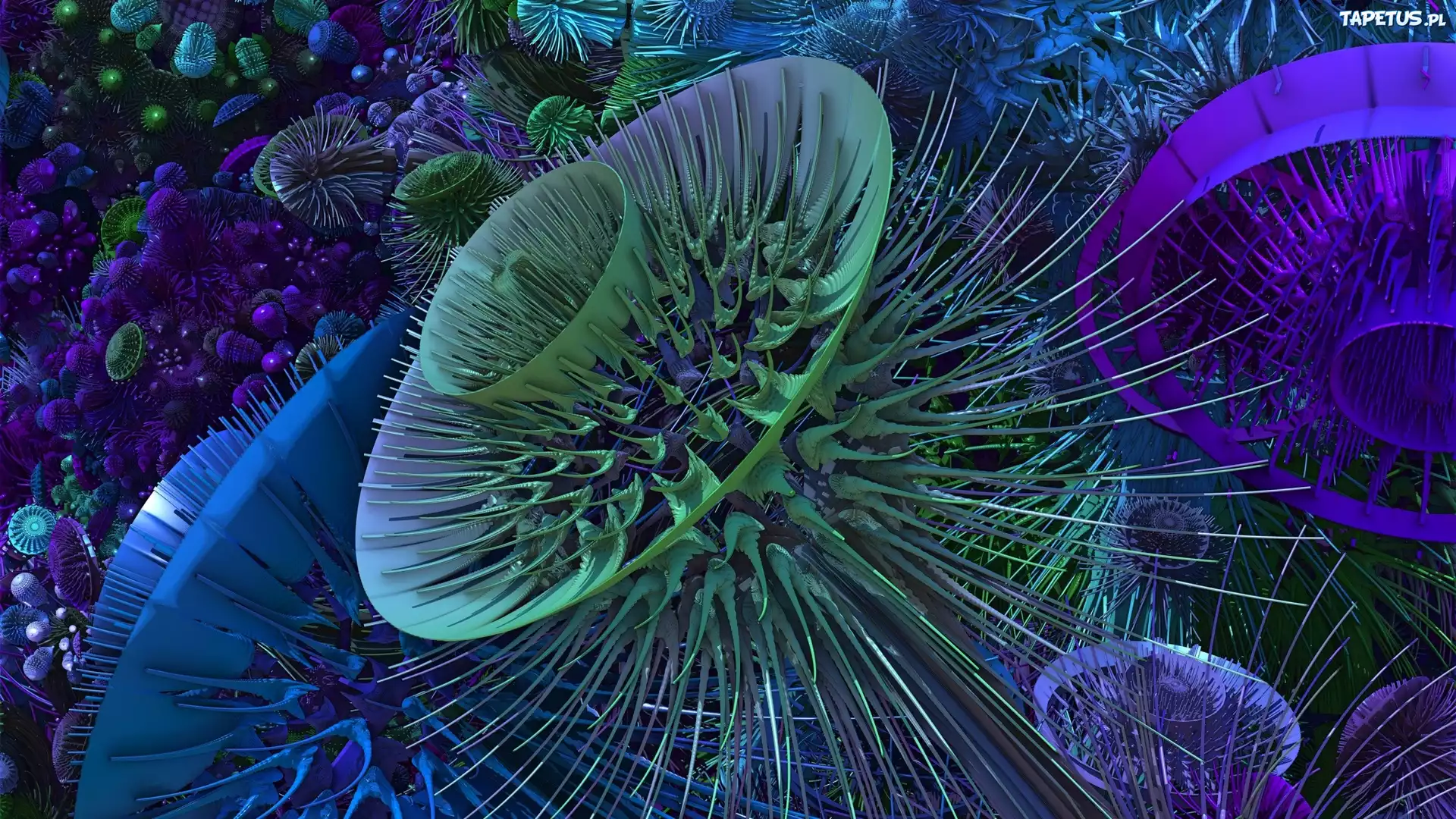 Grafika, 3D, Kwiatek