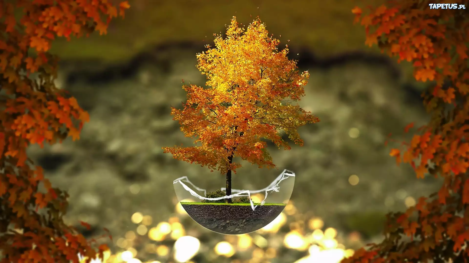 Grafika, Fantasy, Jesień, Drzewko, Bonsai