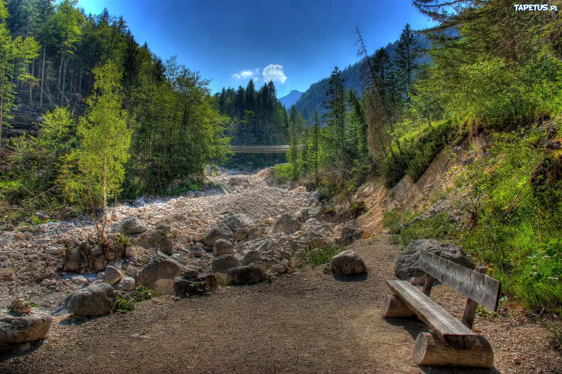 Góry, Las, Kamienie, Ławka