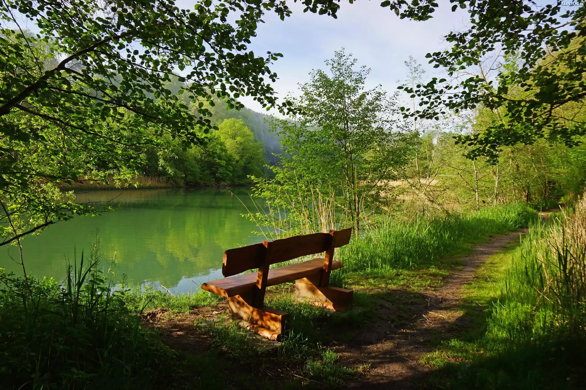 Park, Rzeczka, Ławeczka