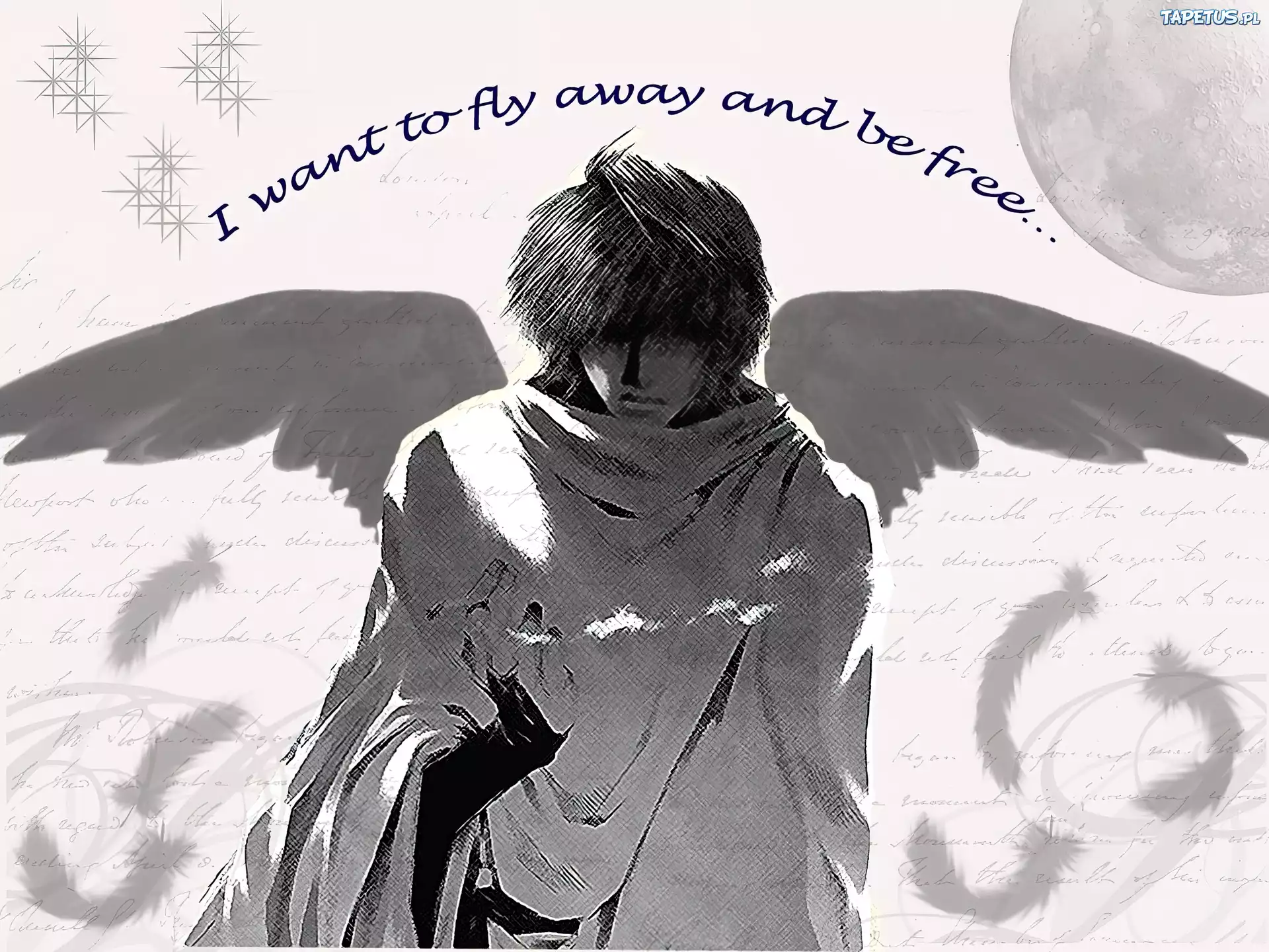 Saiyuki, szare, fly away