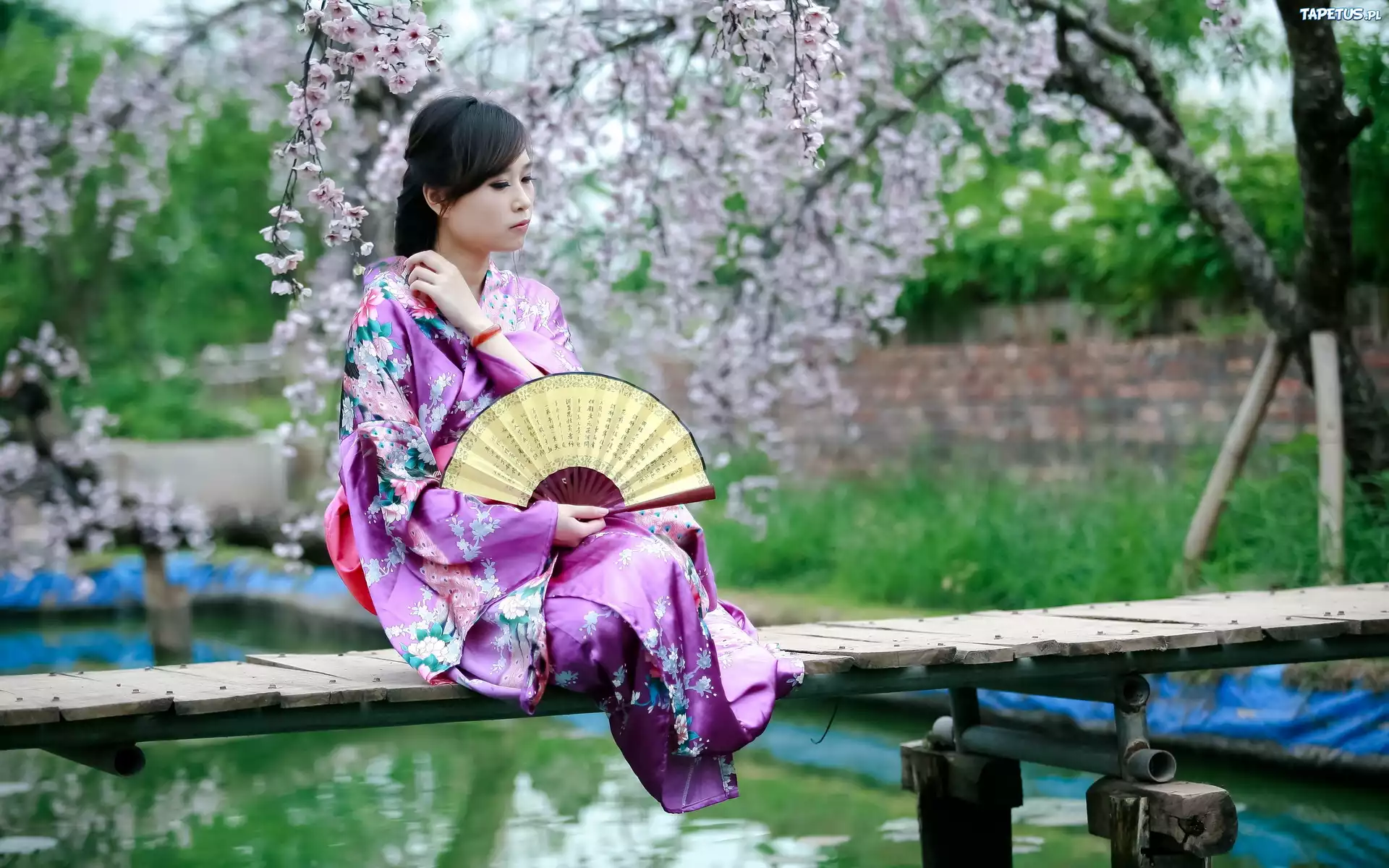 Japonka, Ogród, Kimono, Wachlarz