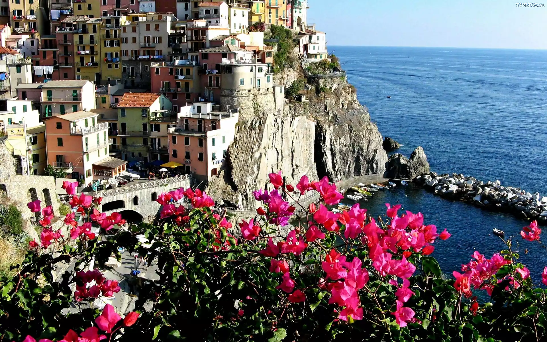 Morze, Miasto, Riomaggiore, Bugenwilla, Liguria