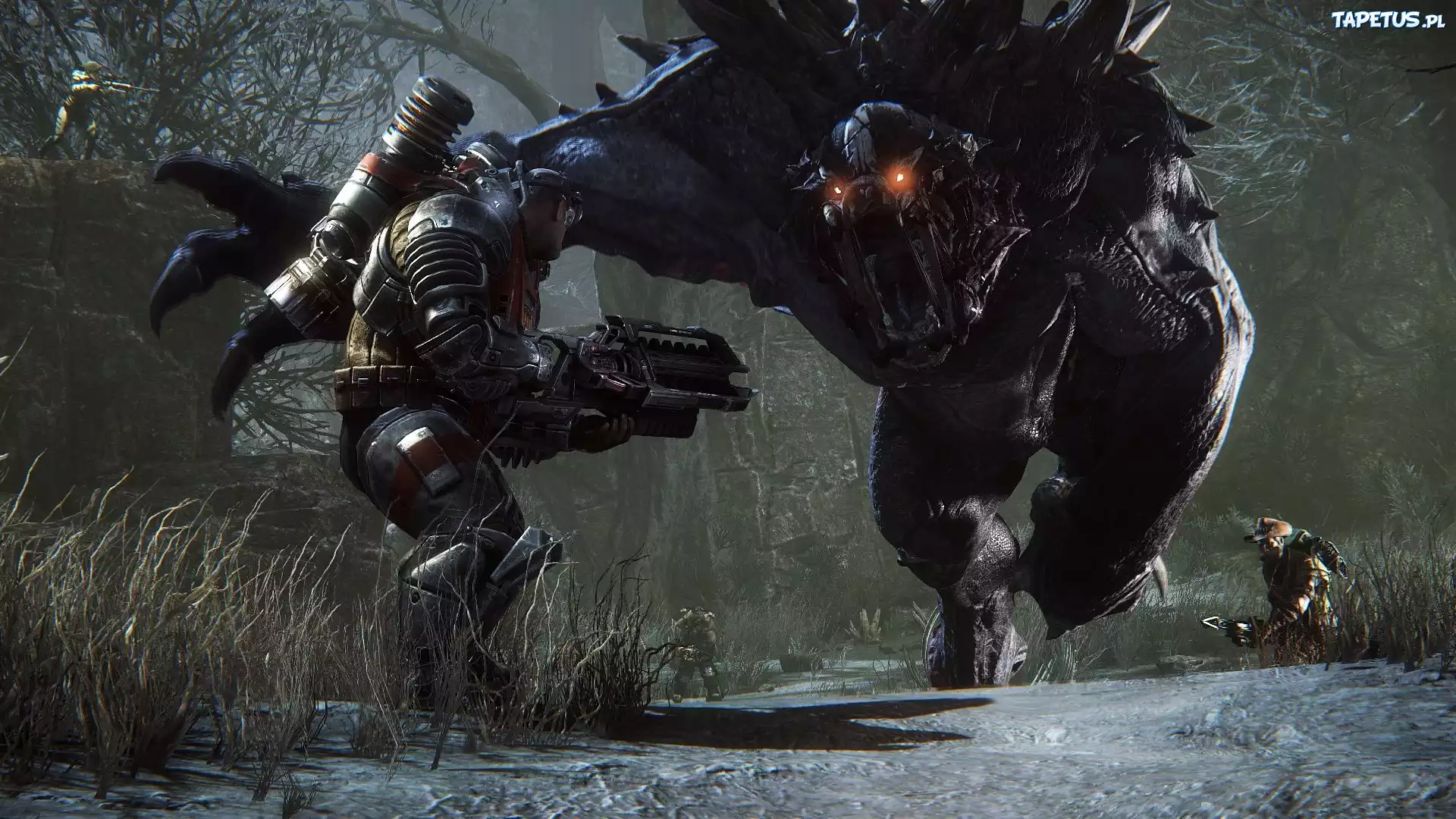 Evolve, Potwór, Walka