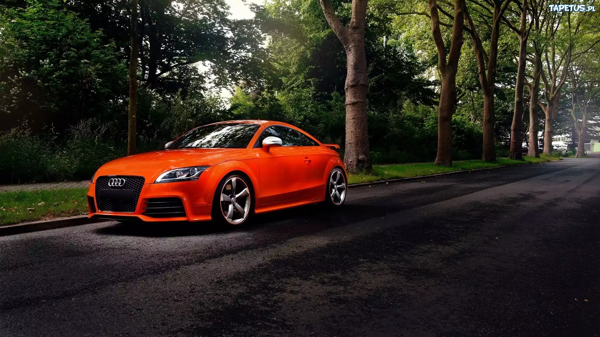 Pomarańczowe, Audi TT, Droga, Las