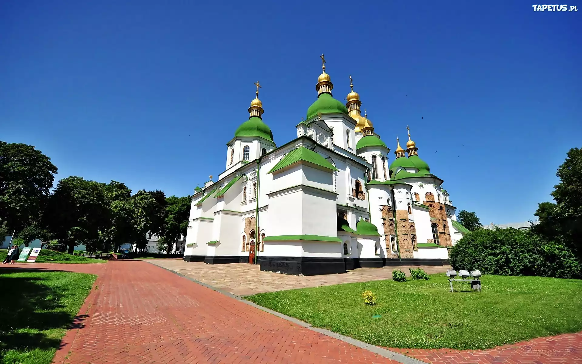 Katedra, Św. Zofii, Drzewa, Aleja, Kijów, Ukraina