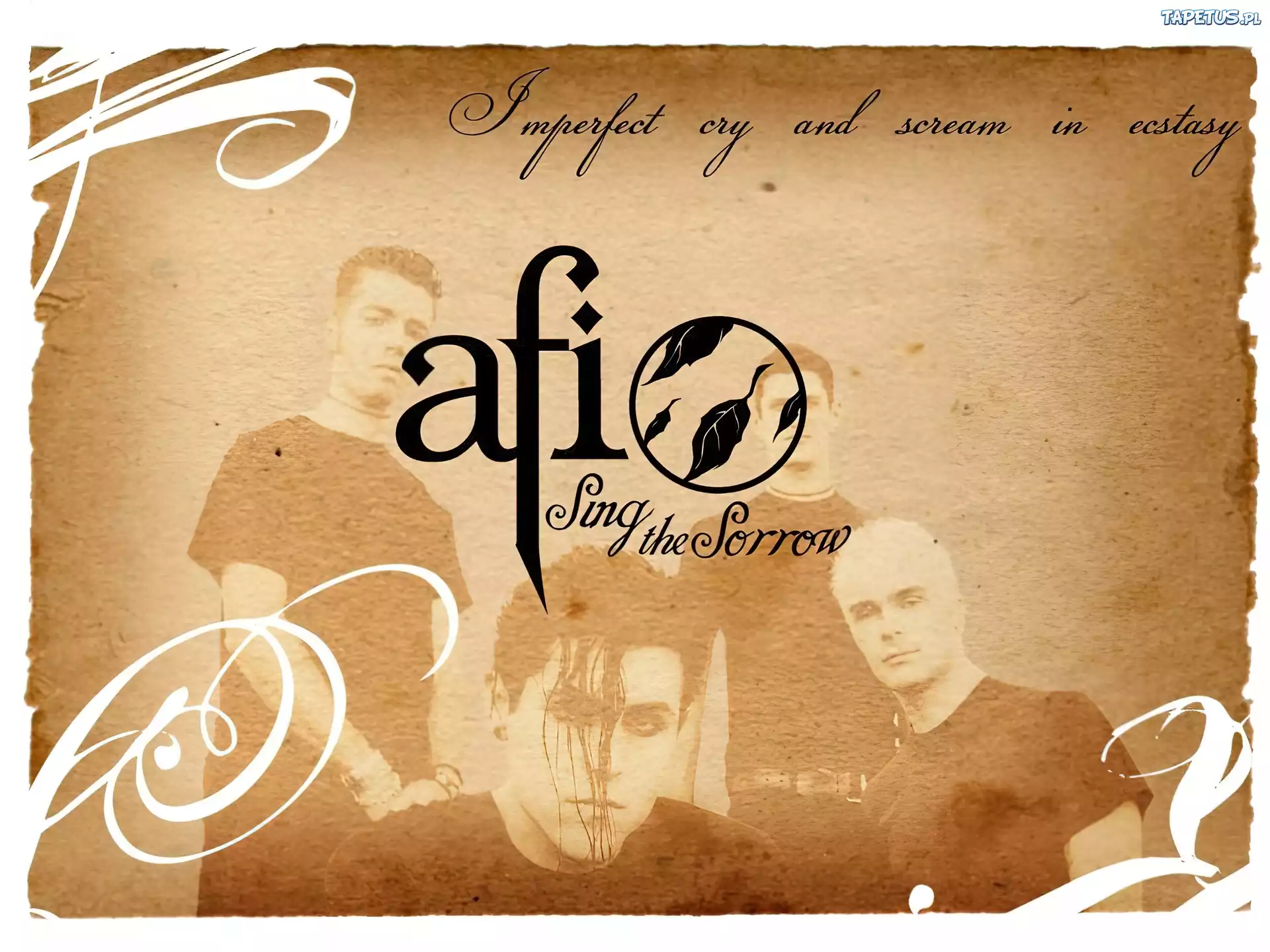 Afi,twarze zespołu