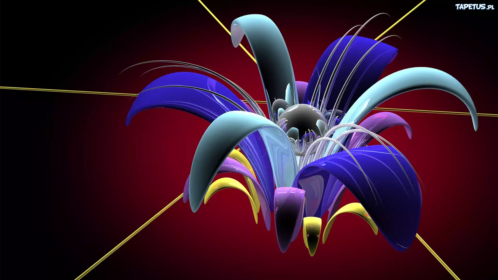 Abstrakcja, Kwiat, Grafika, 3D