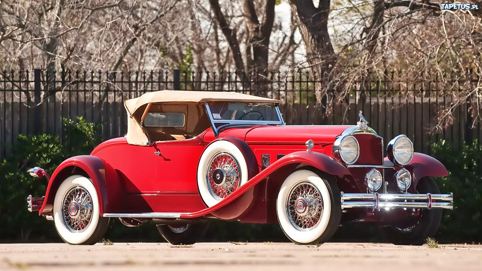 Samochód, Zabytkowy, Packard, Deluxe, 1940