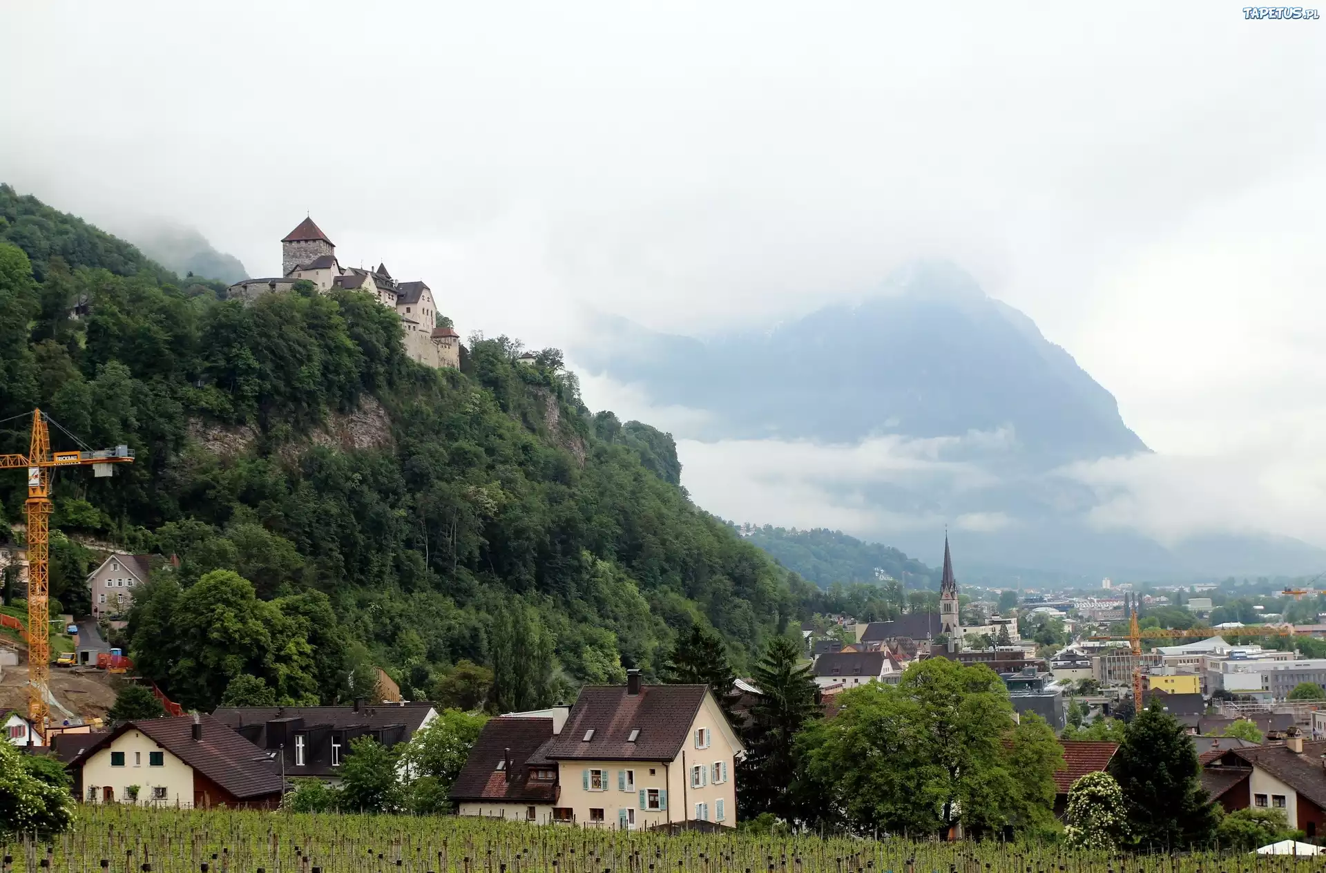 Liechtenstein, Vaduz, Miasto, Góry, Las