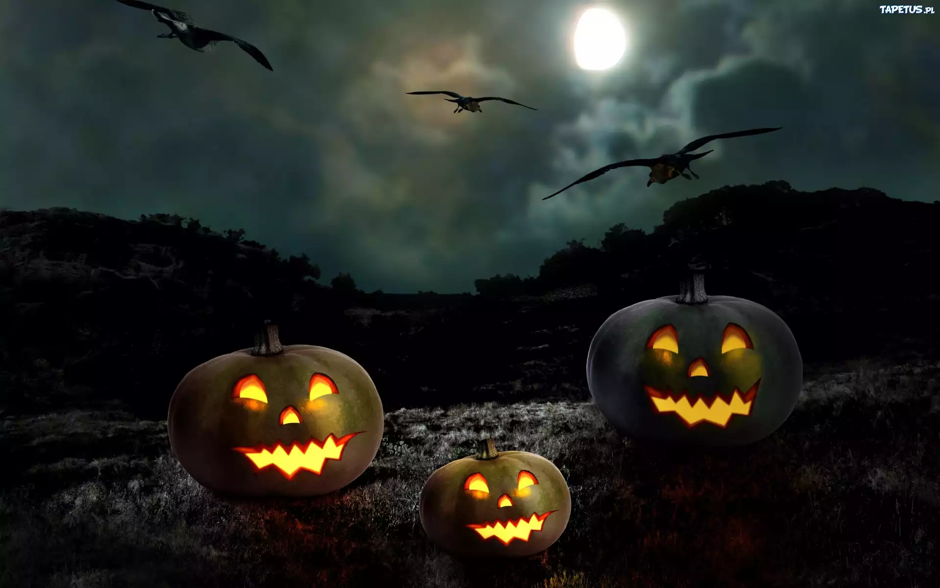 Halloween, Noc, Dynie, Ptaki