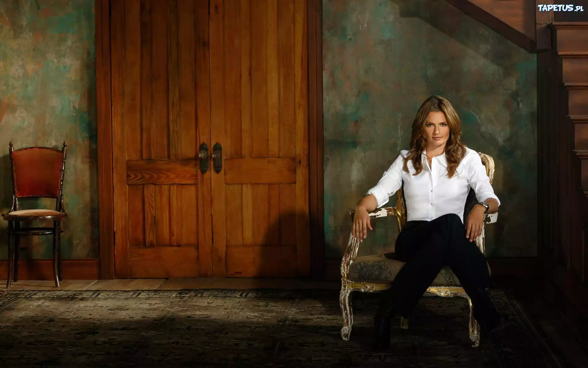 Serial, Castle, Stana Katic