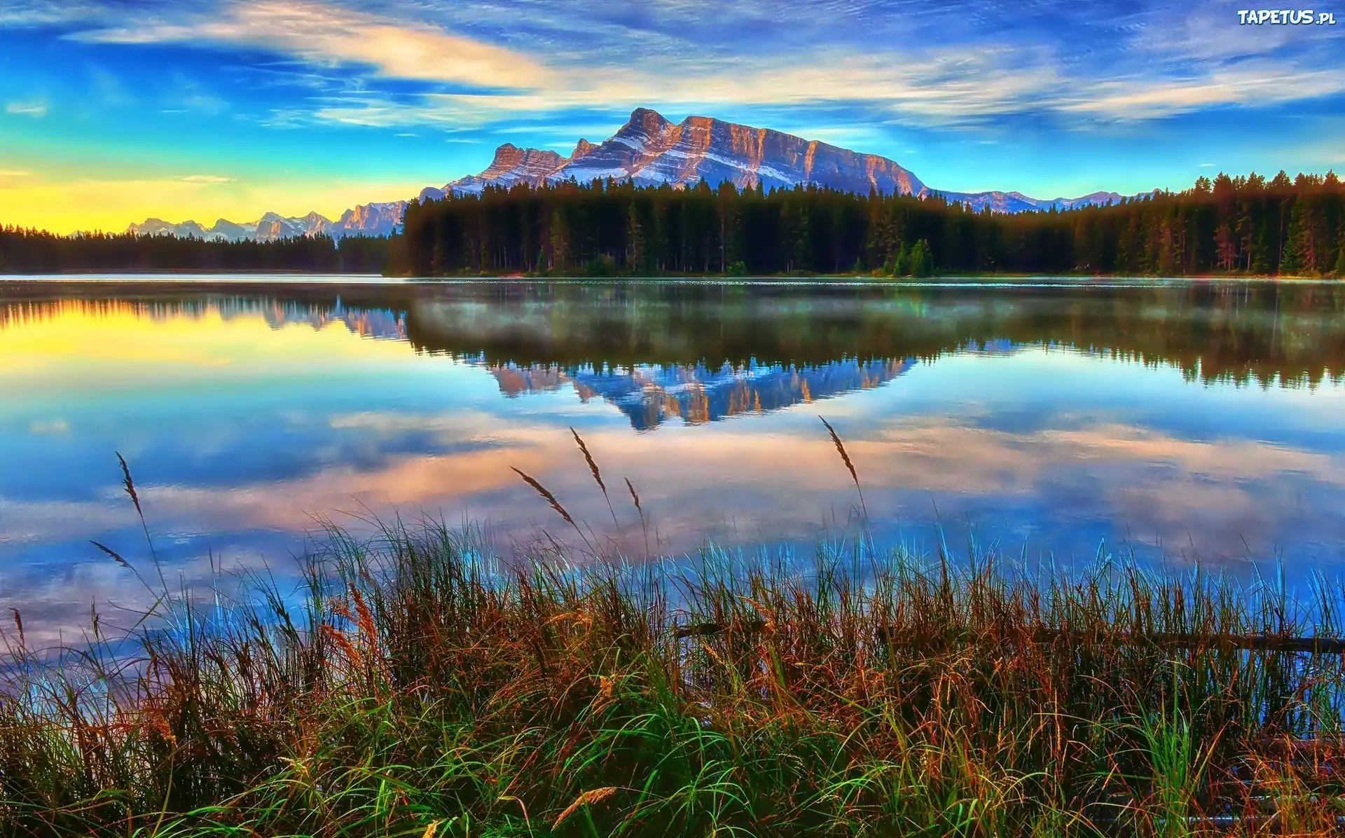 Góry, Jezioro, Las, Trawa, Banff