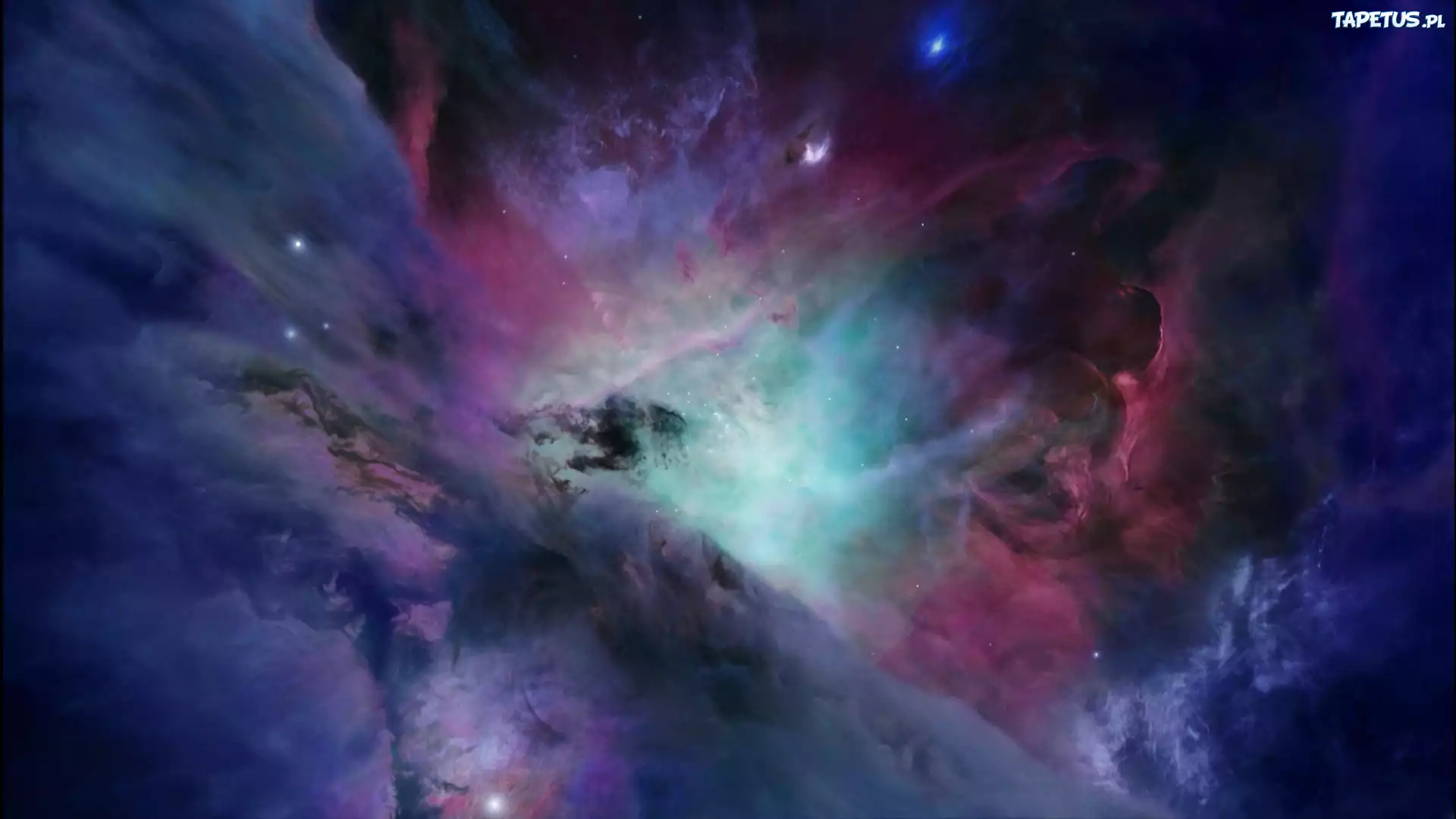 Kosmos, Gwiazdy
