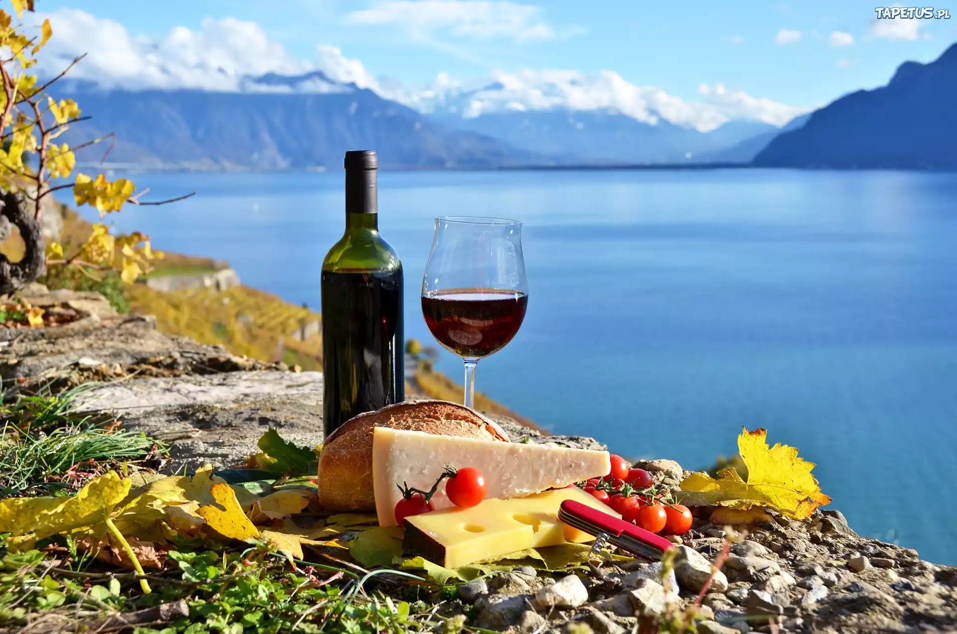 Jezioro, Góry, Wino, Piknik