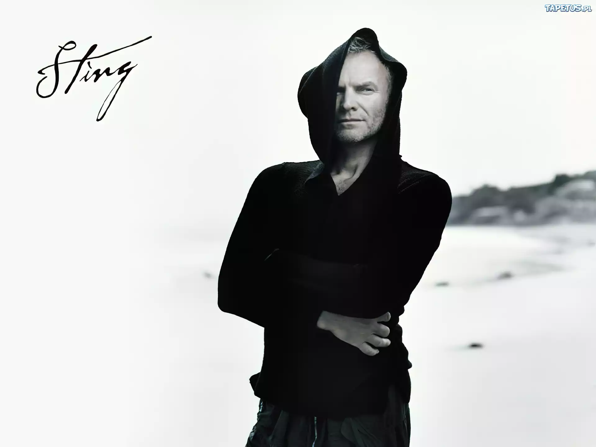Sting, Kaptur