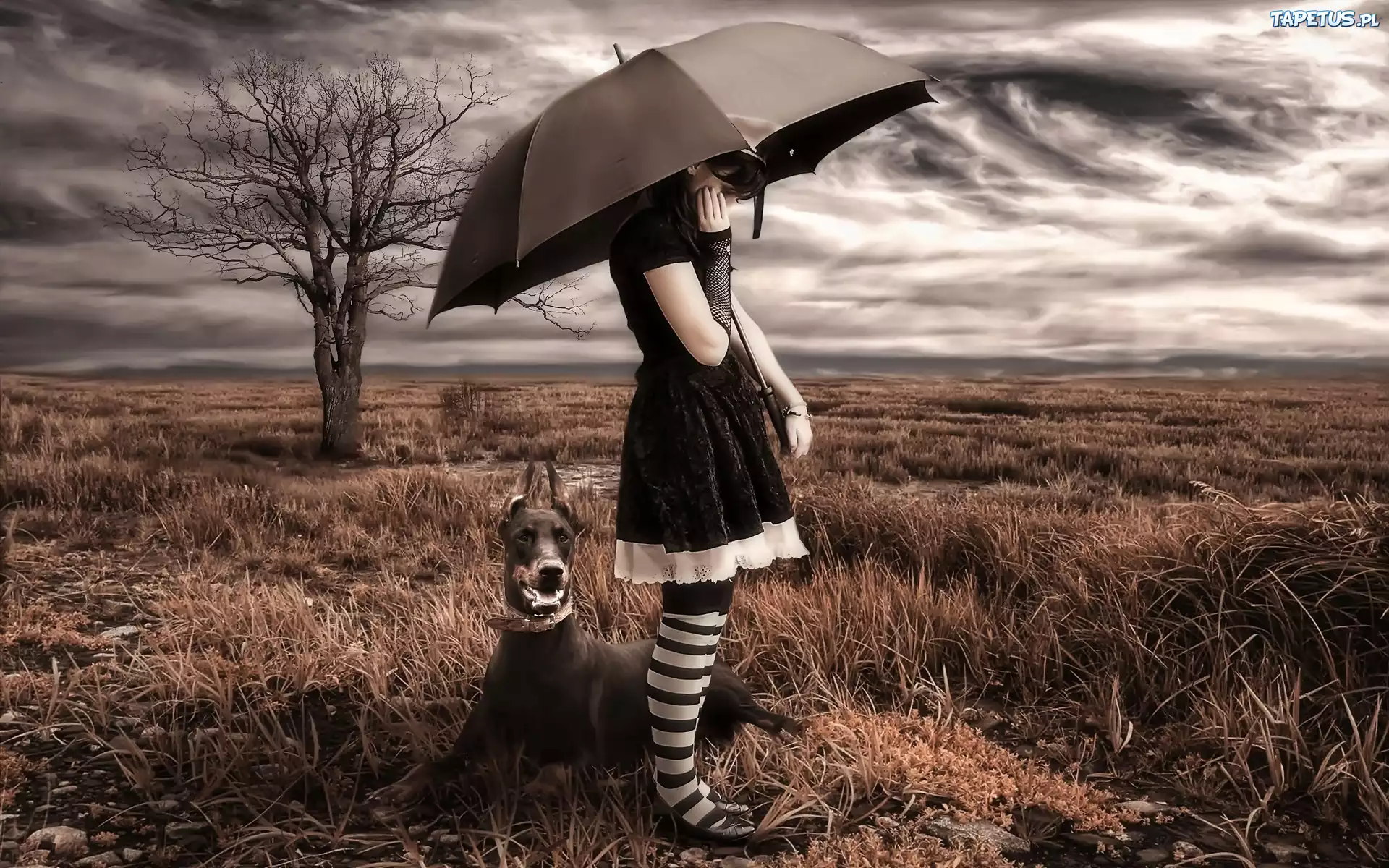 Łąka, Chmury, Drzewo, Dziewczyna, Parasol, Pies, Doberman