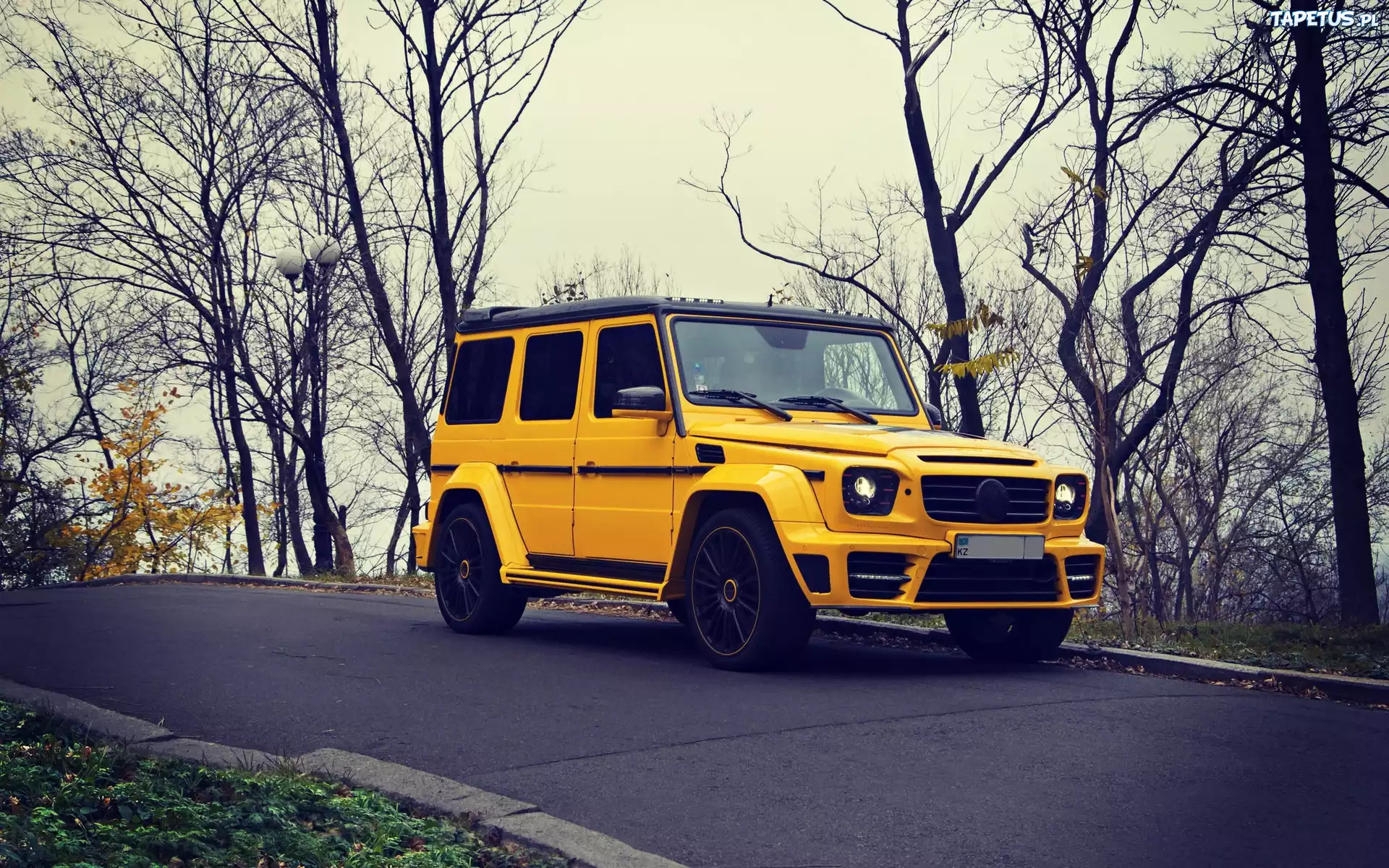 Żółty, Mercedes, Benz, G63, Jesień, Droga, Drzewa