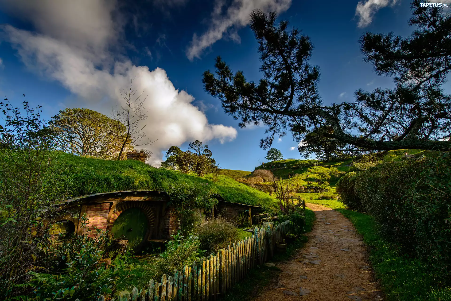 Domek, Hobbit, Droga