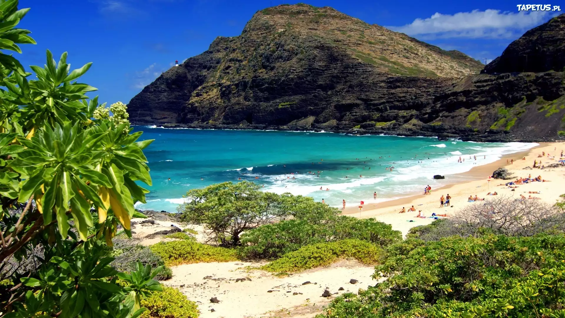 Hanauma Bay, Oahu, Hawaii без смс