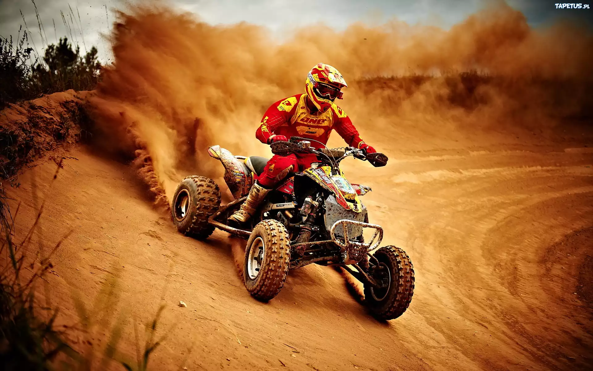 Quad, Rajd
