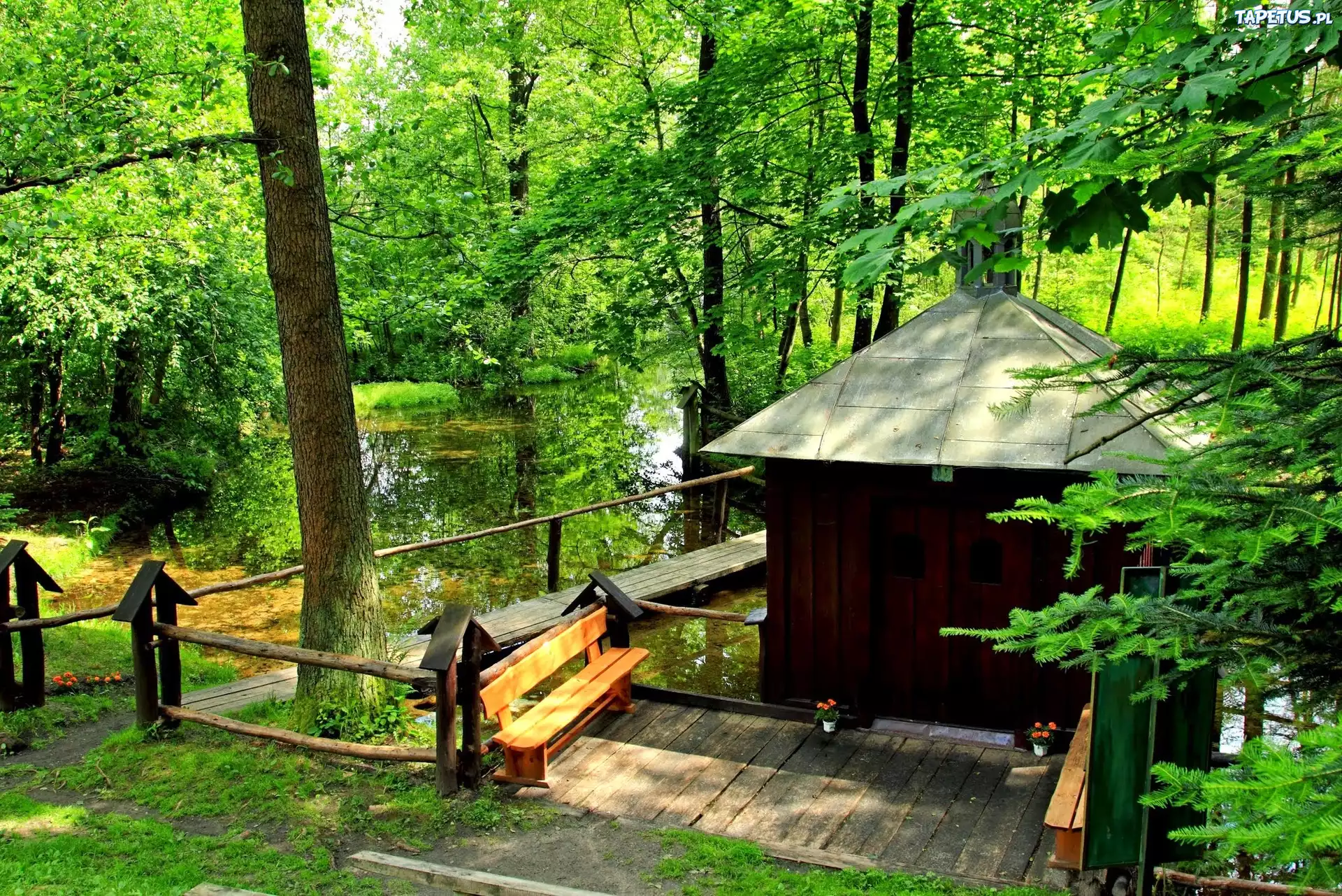 Las, Chatka, Jezioro