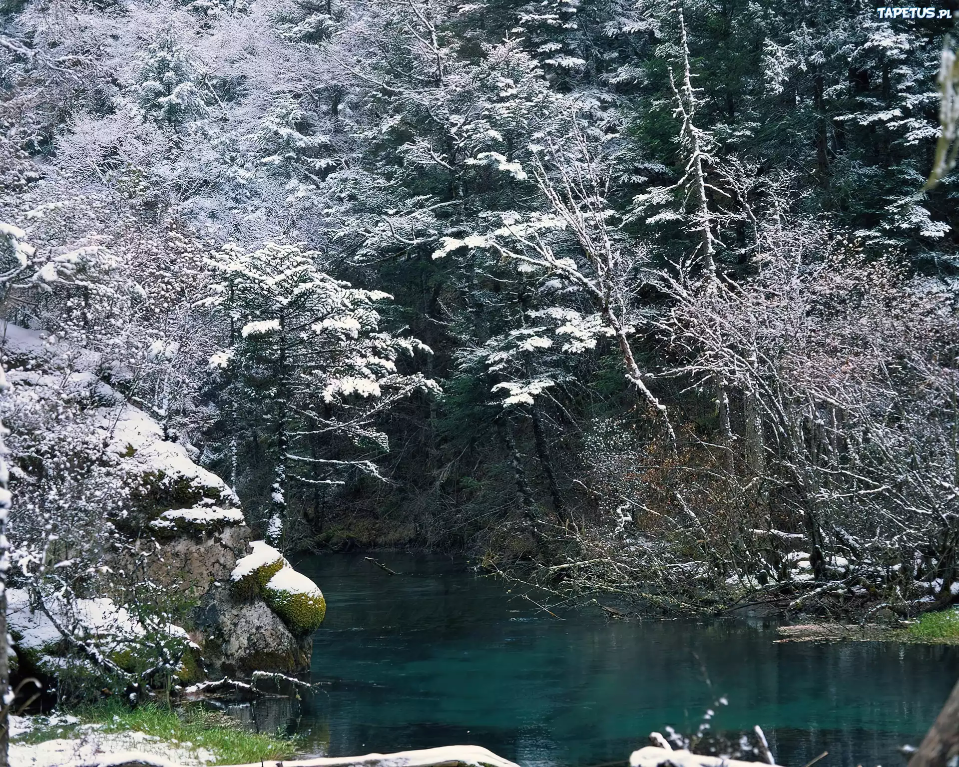 Las, Jezioro, Skały