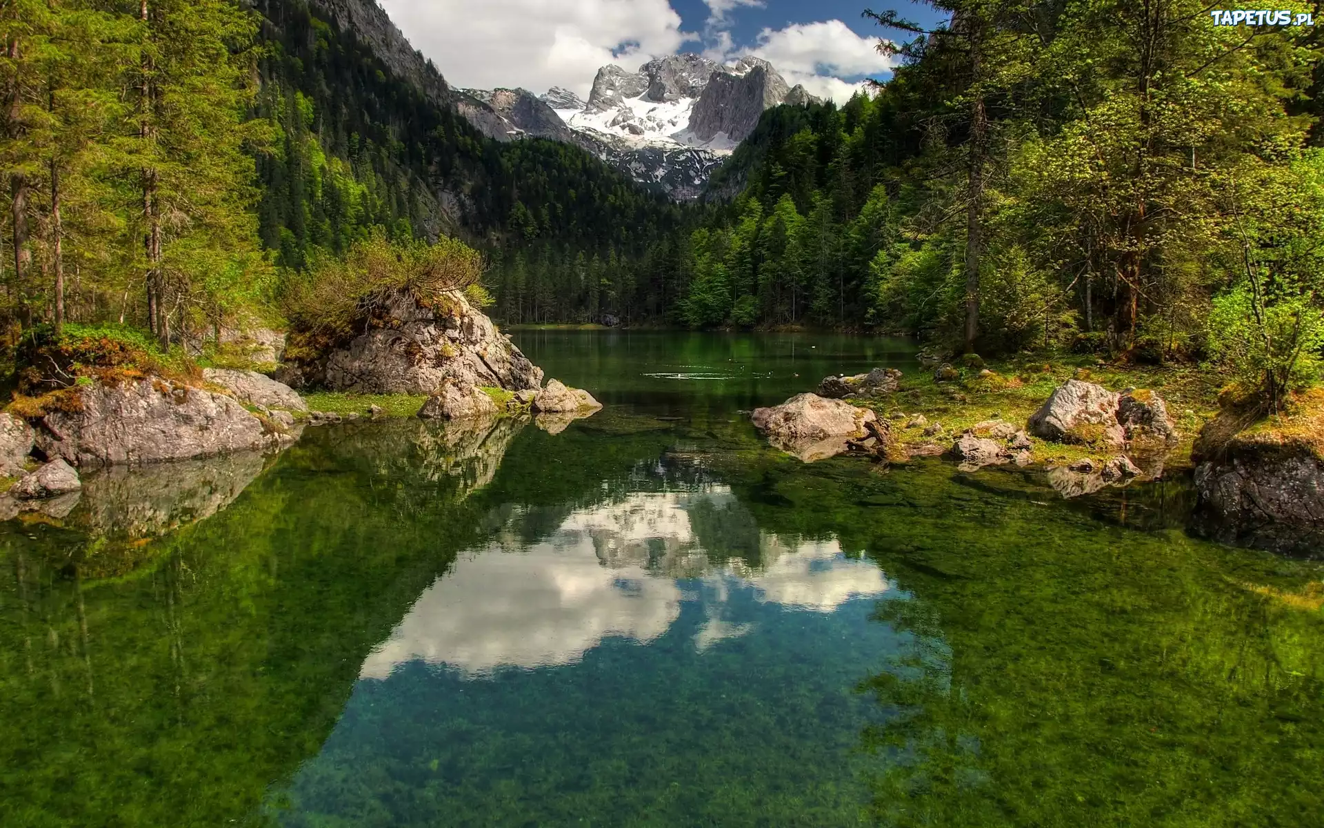 Rzeka, Kamienie, Góry, Las