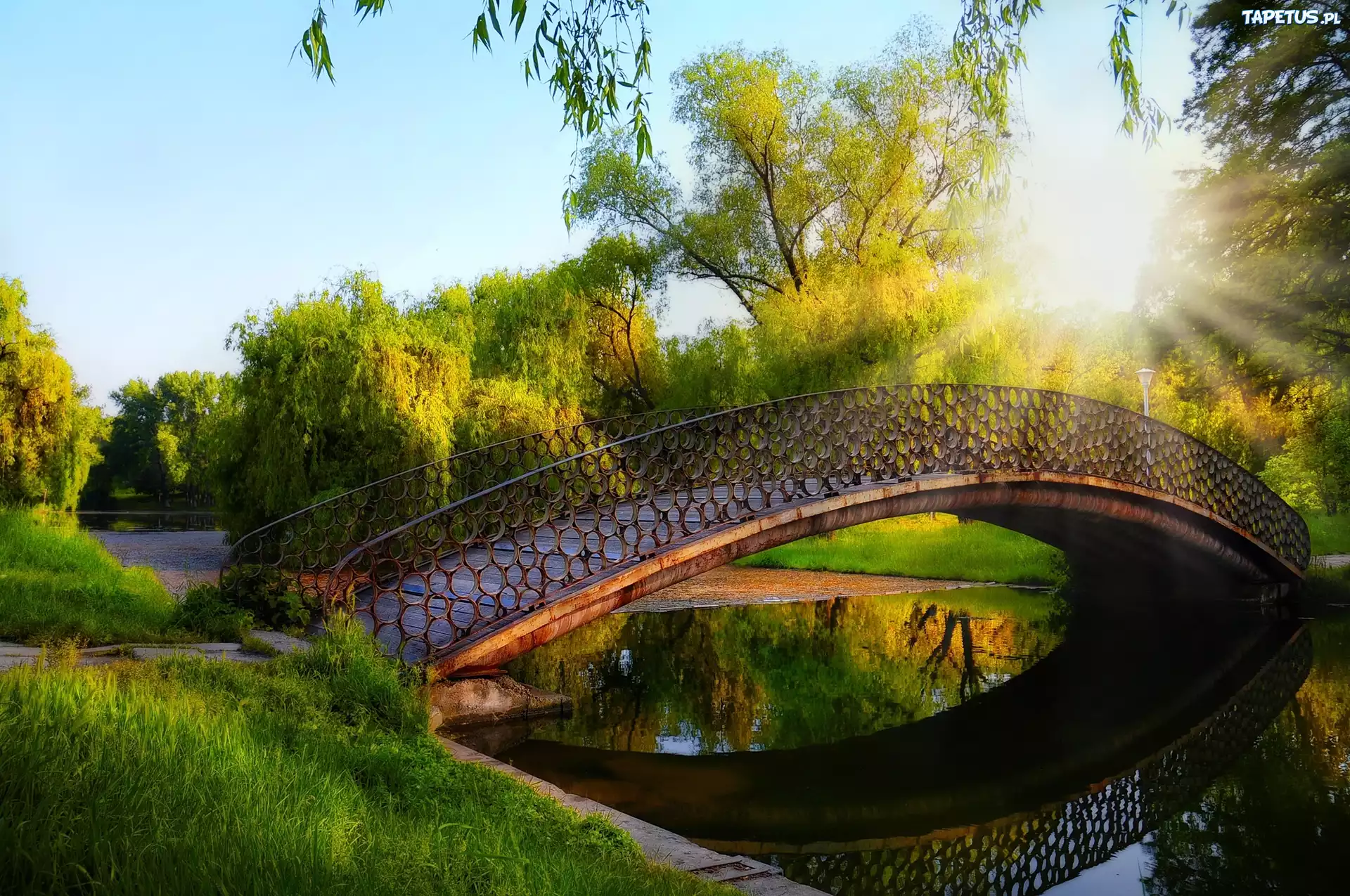 Park, Rzeka, Most, Drzewa, Promienie Słońca