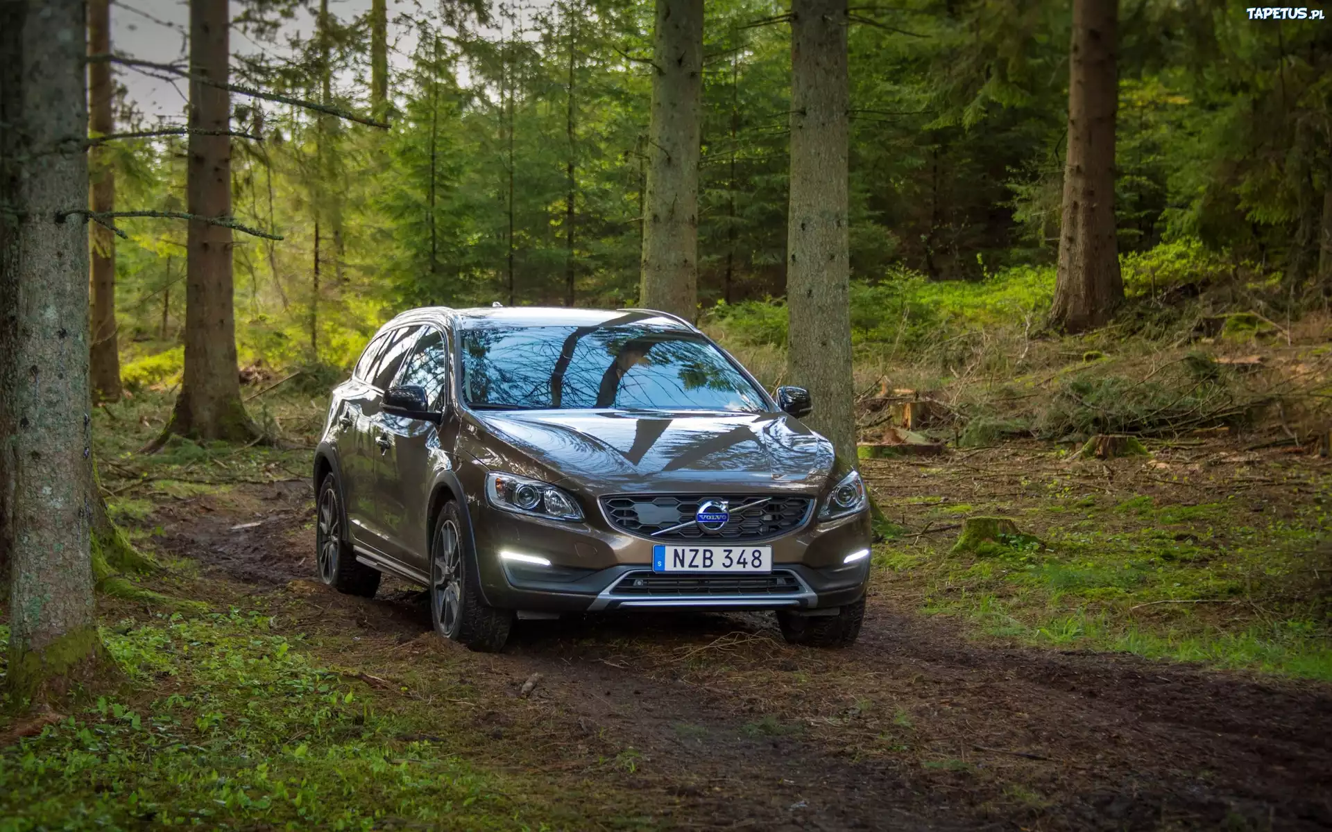 Samochód, Volvo V60, Las
