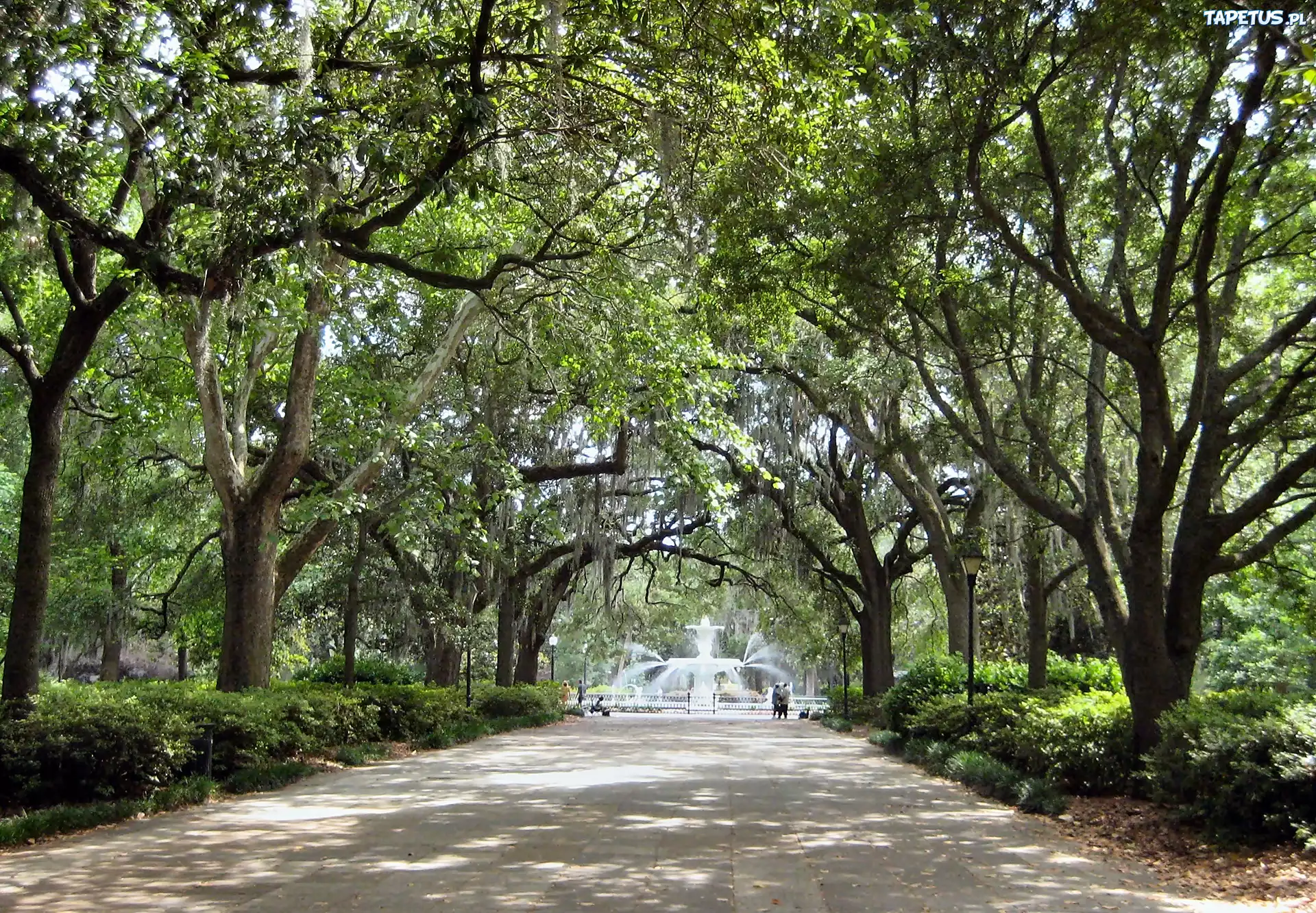 Georgia, Savannah, Forsyth, Park