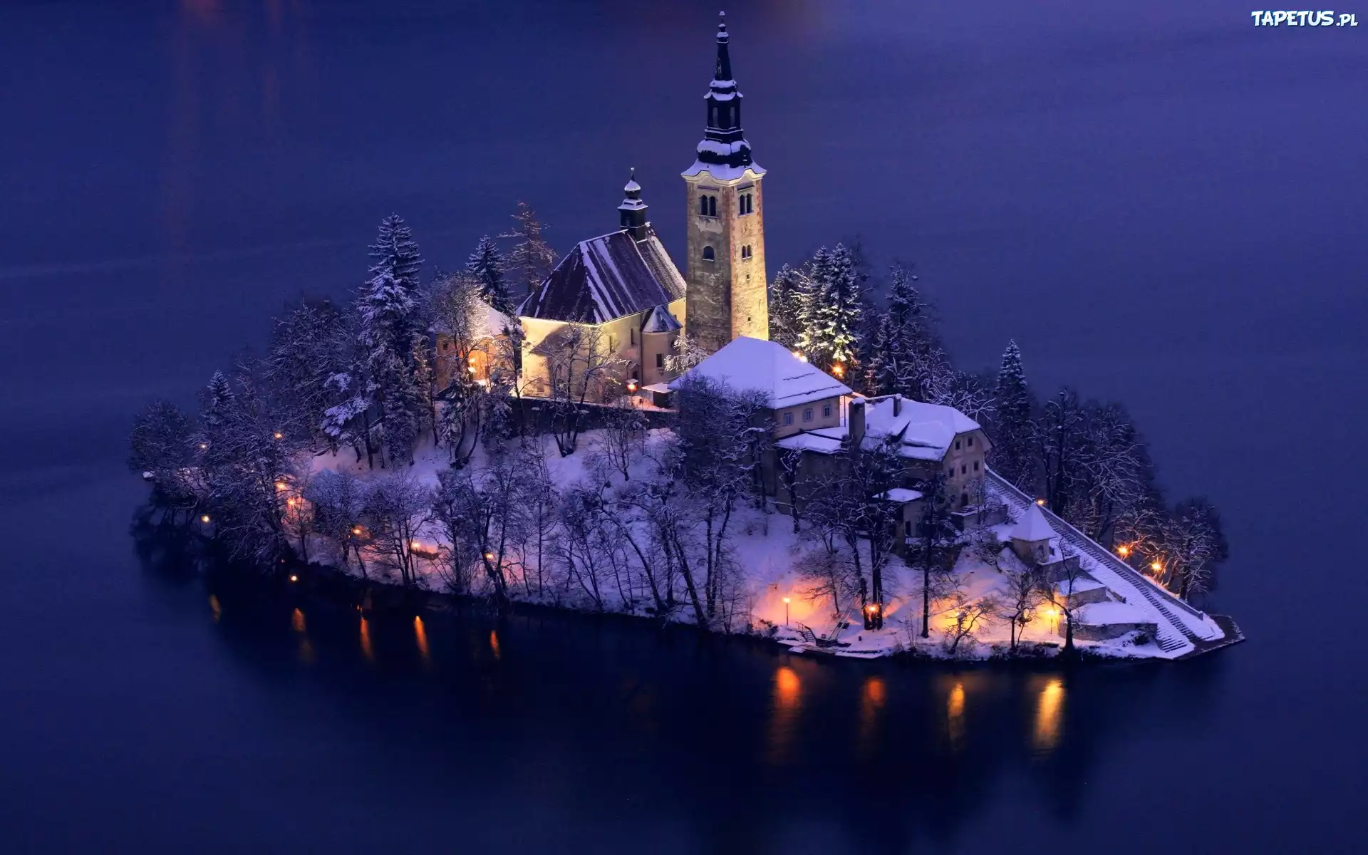 дерево островок снег озеро tree island snow the lake бесплатно